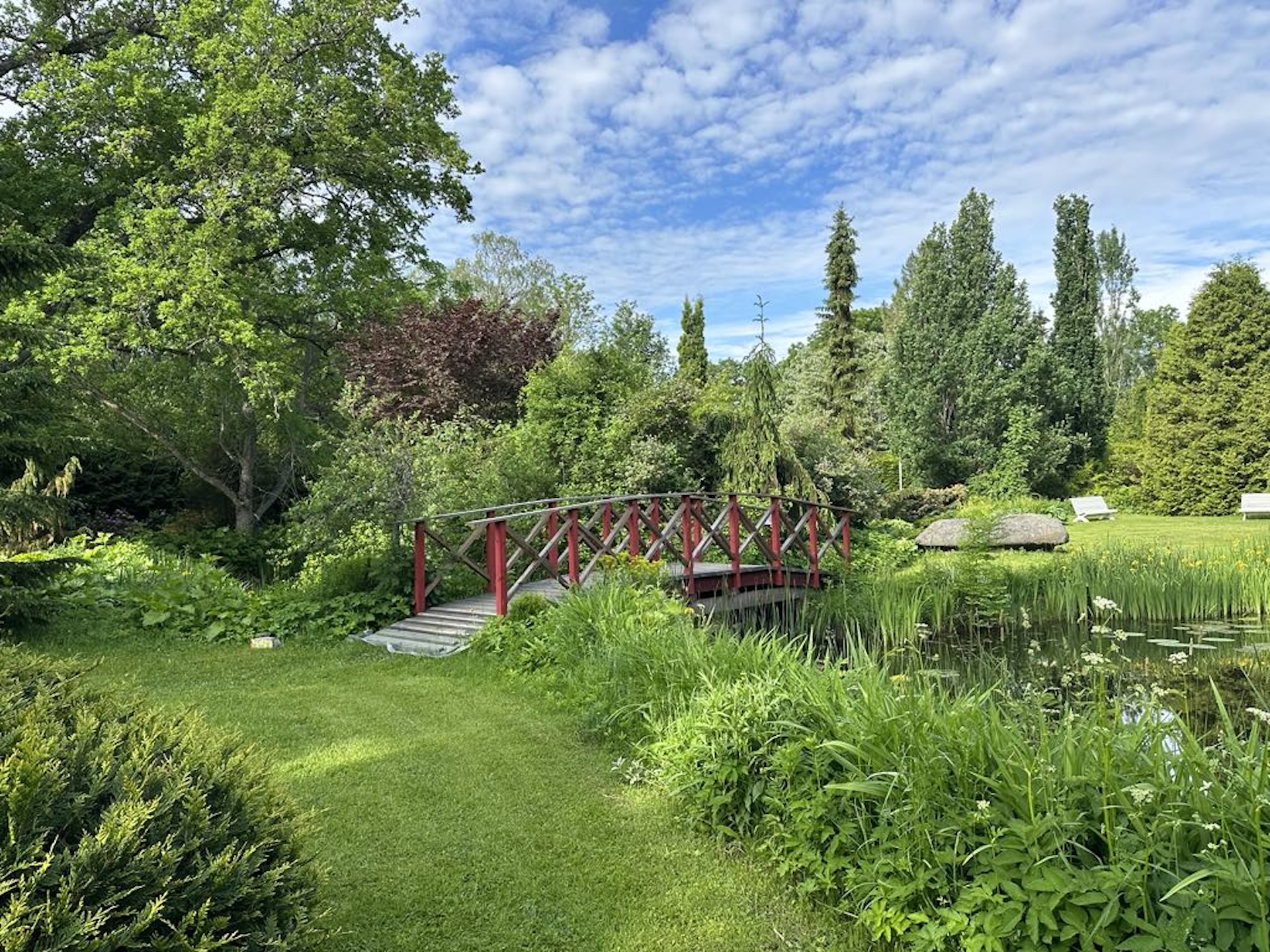 Dendropark Smaragd sild
