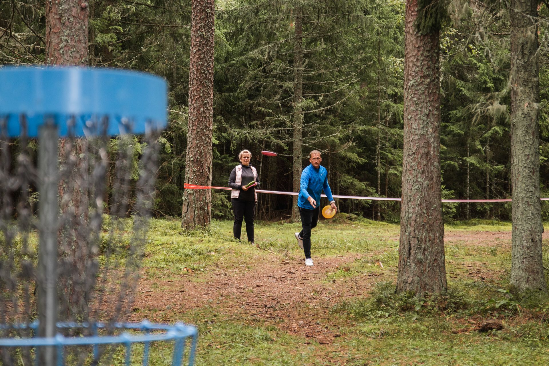 Discgolfi mängimas Kõrvemaa metsade vahel