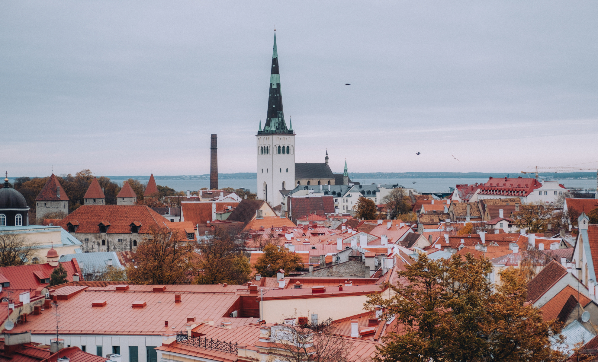 Oleviste kiriku torn ja vaateplatvorm sügisel