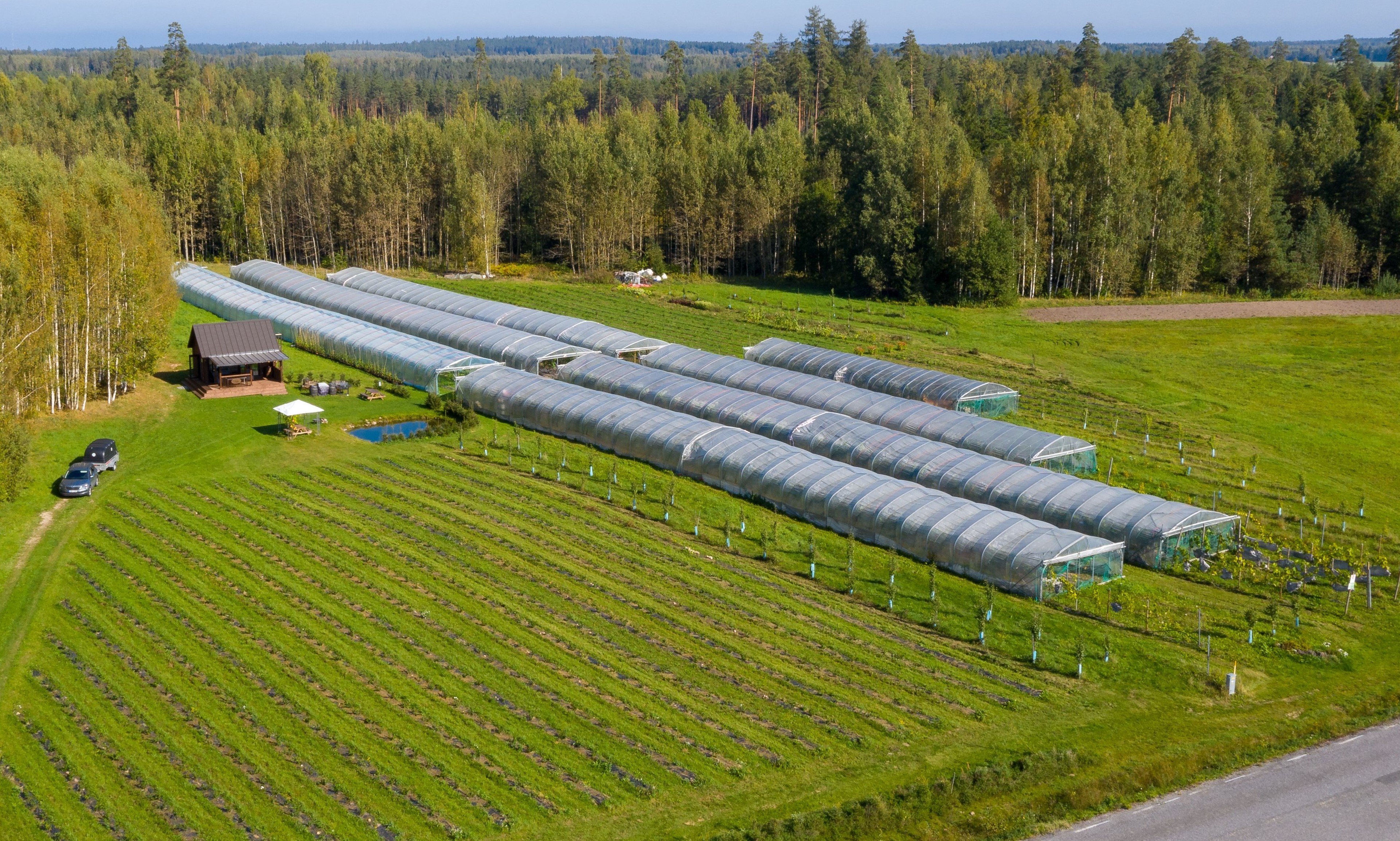 Ekskursioon, Eesti veinide degusteerimine