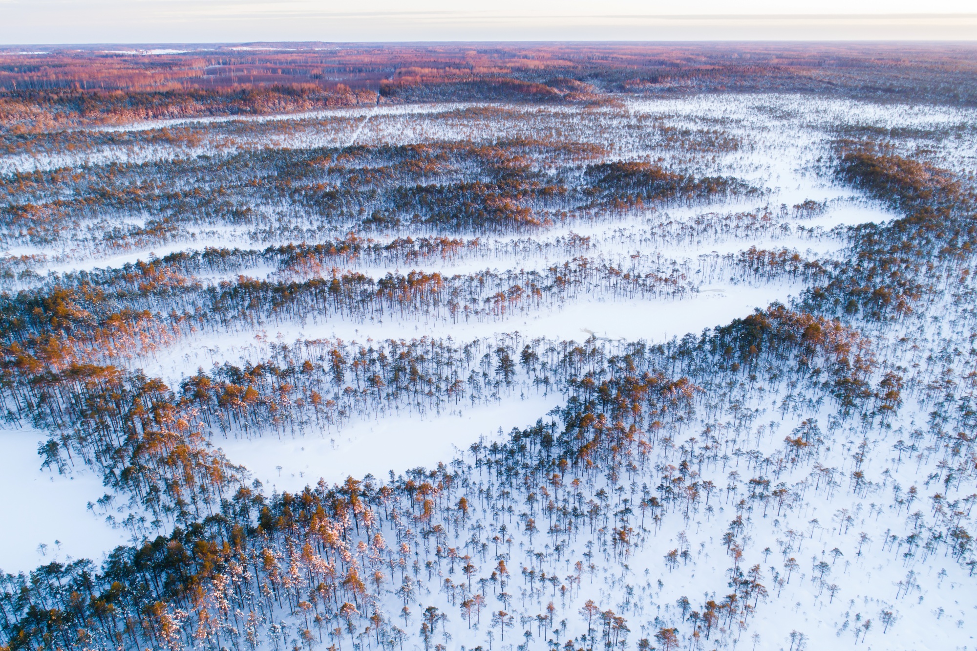 The Kotka hiking trail showcases different types of bogs and other wetland features. It passes by a sand ridge which developed over thousands of years