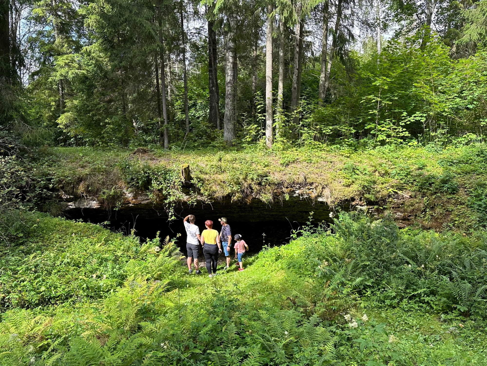 Kuimetsa karstiala koopad