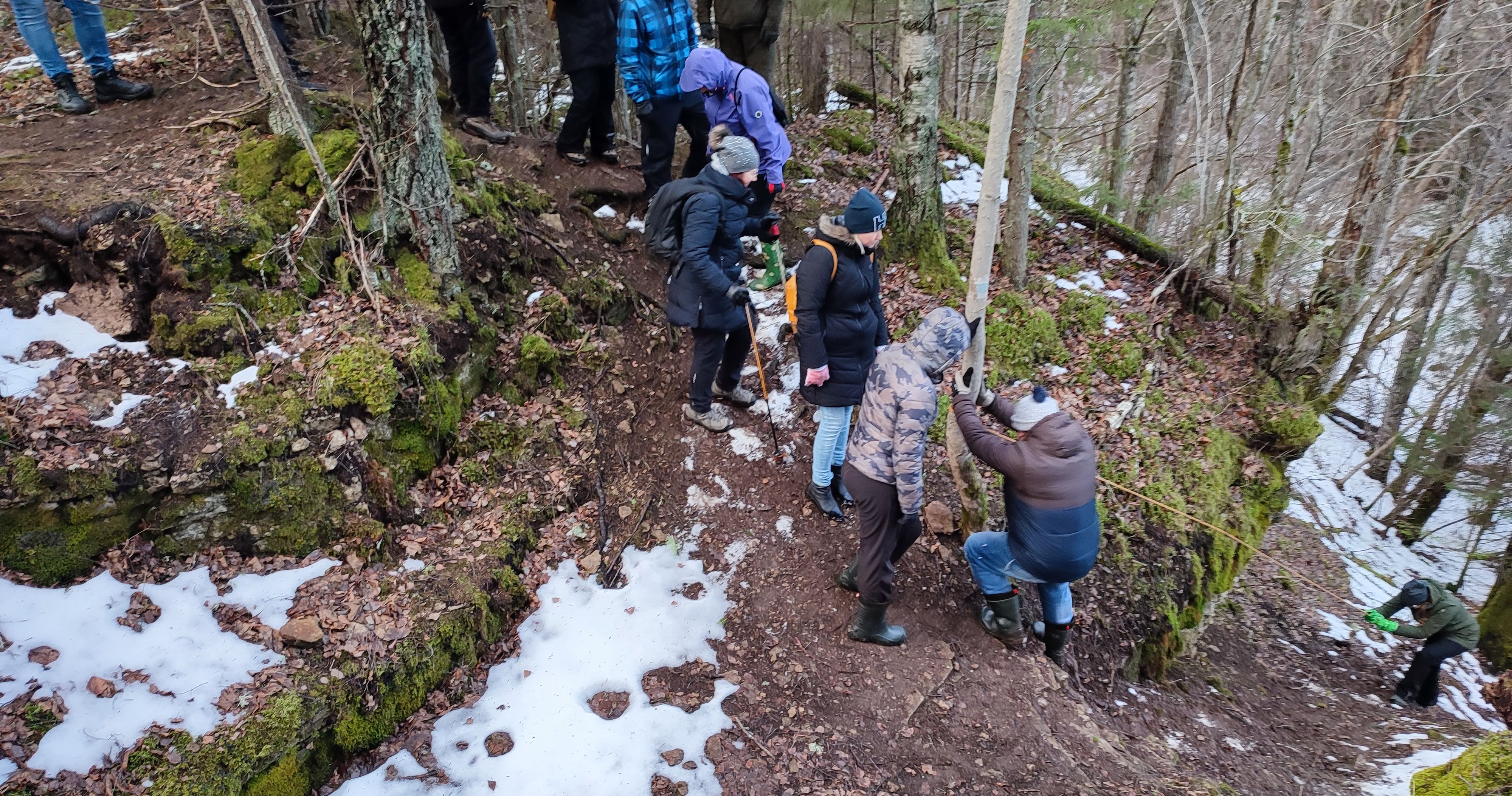 Ronimine järsakutel