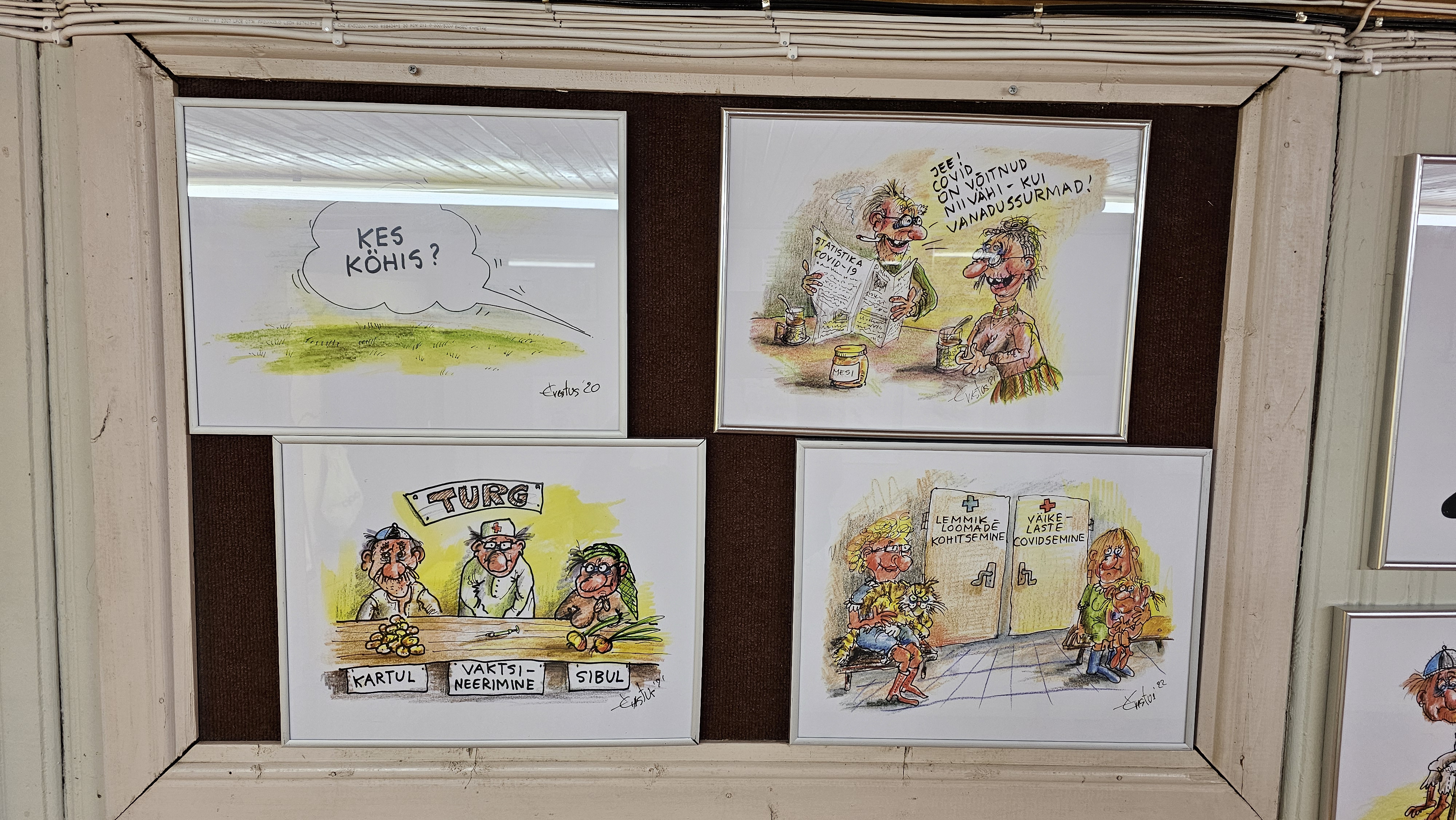 Erki Evestuse karikatuurinäitus "Haugi mälu"