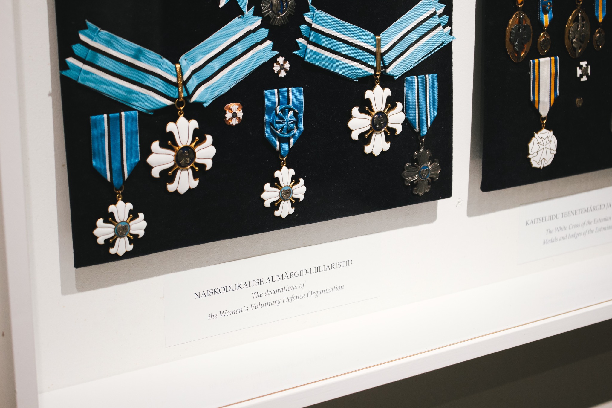 Näyttely ”Viro kiittää” Pärnun museossa
