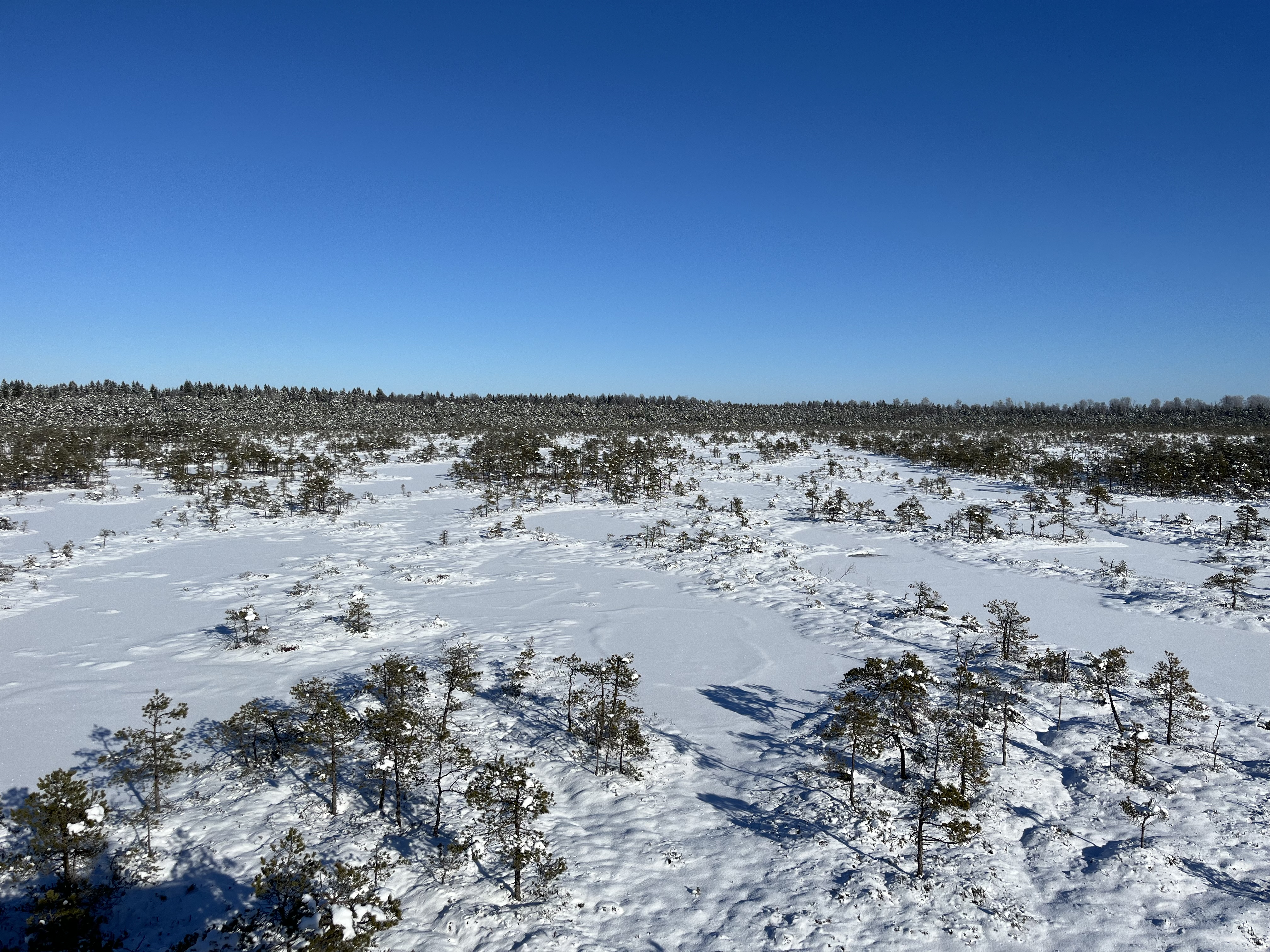 Endla Nature Reserve and centre at Tooma