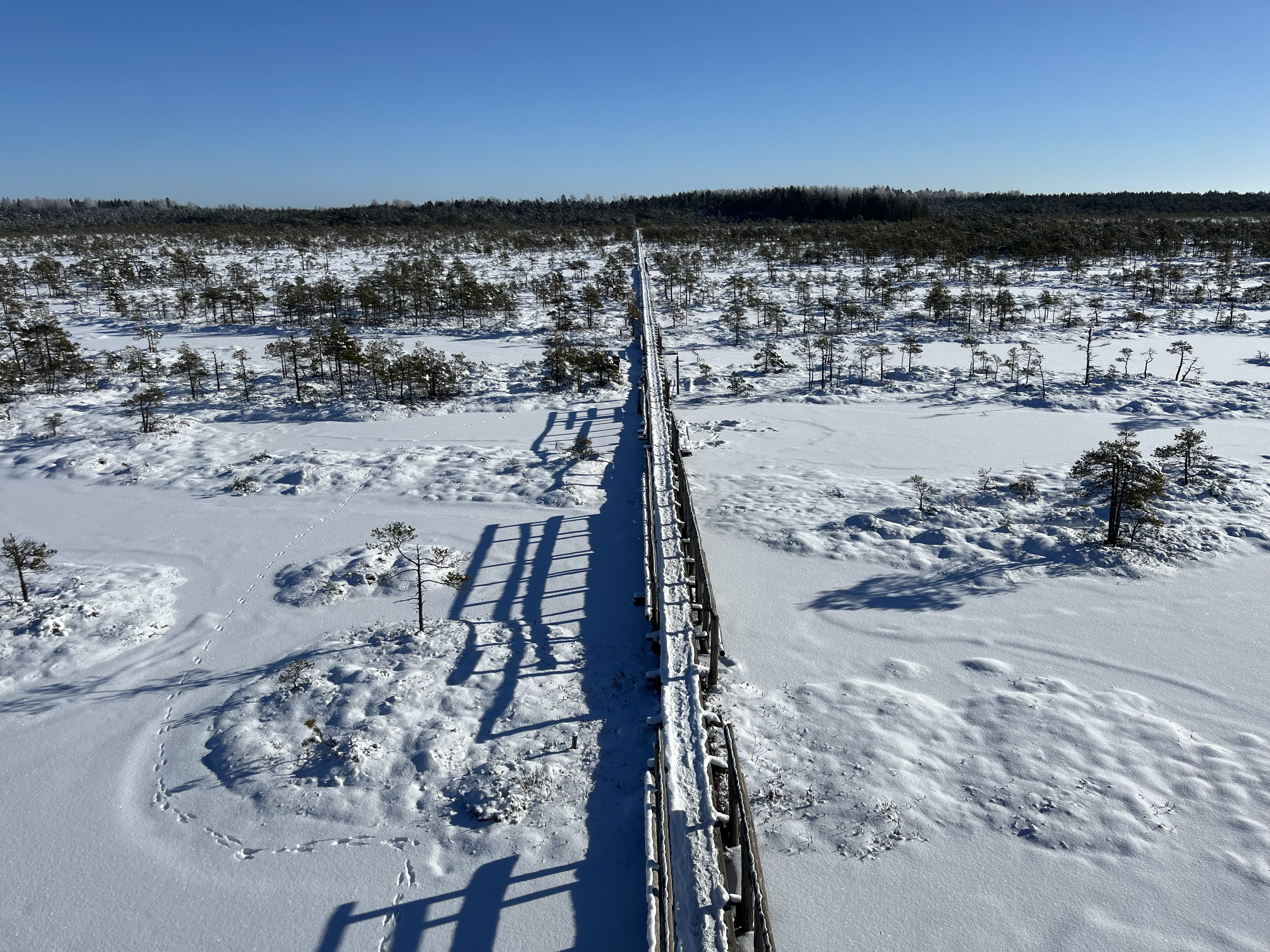 Männikjärve matkarada