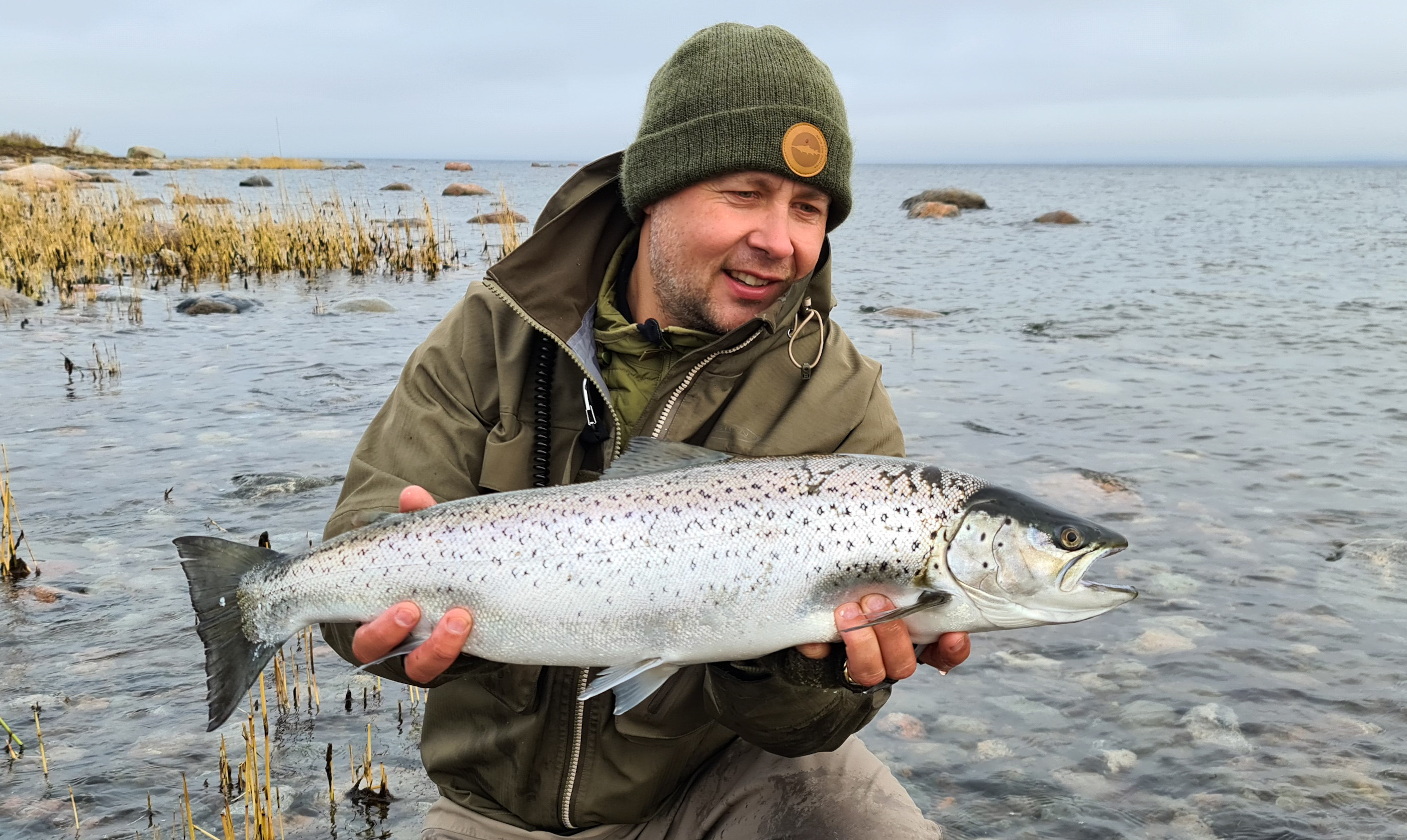 Sea trout