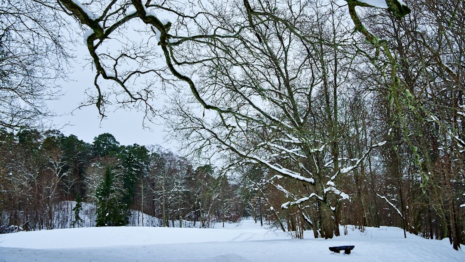 Nature trail in Keila-Joa Park in winter