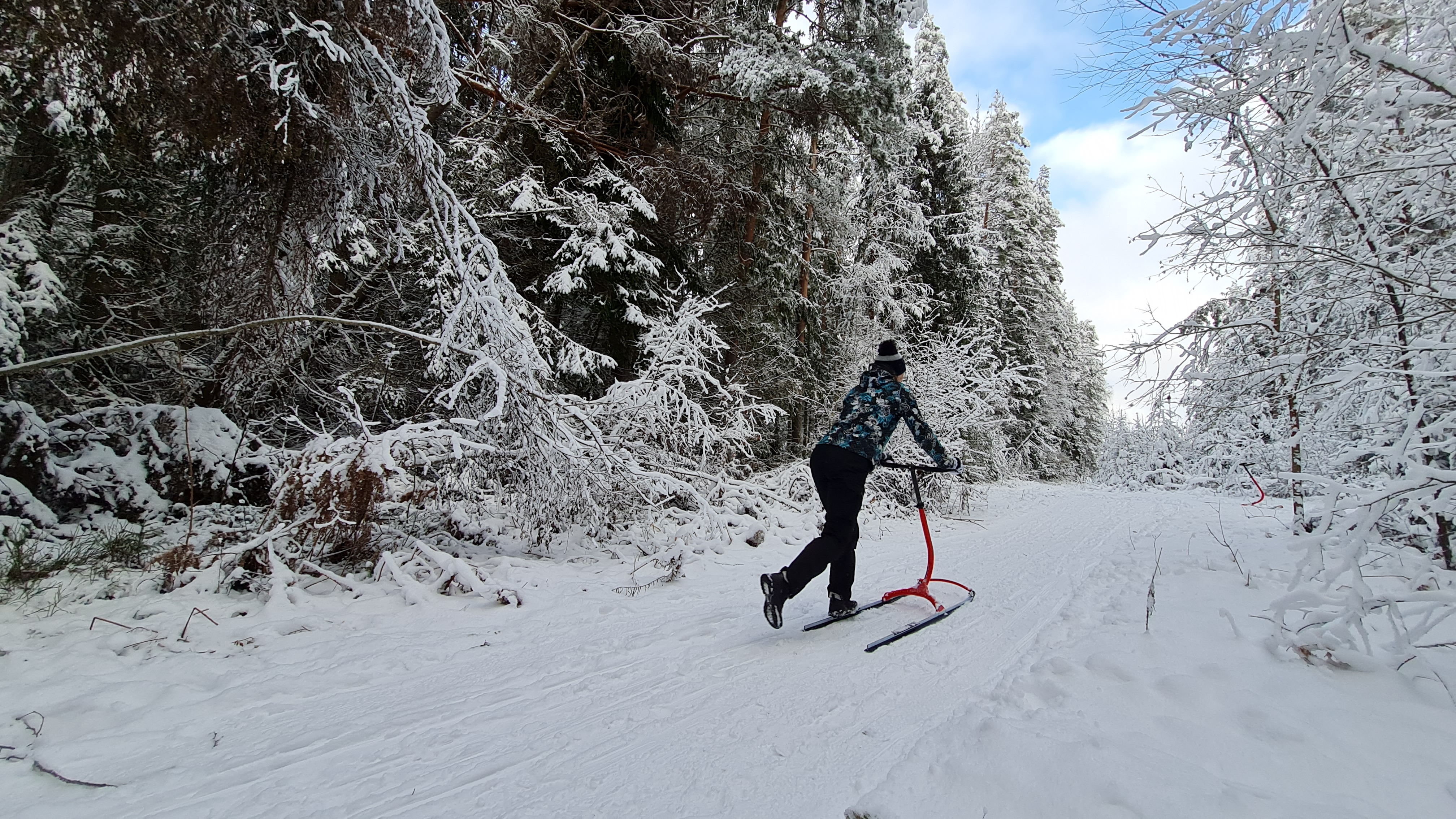 Tõukekelgumatk Taevaskojas