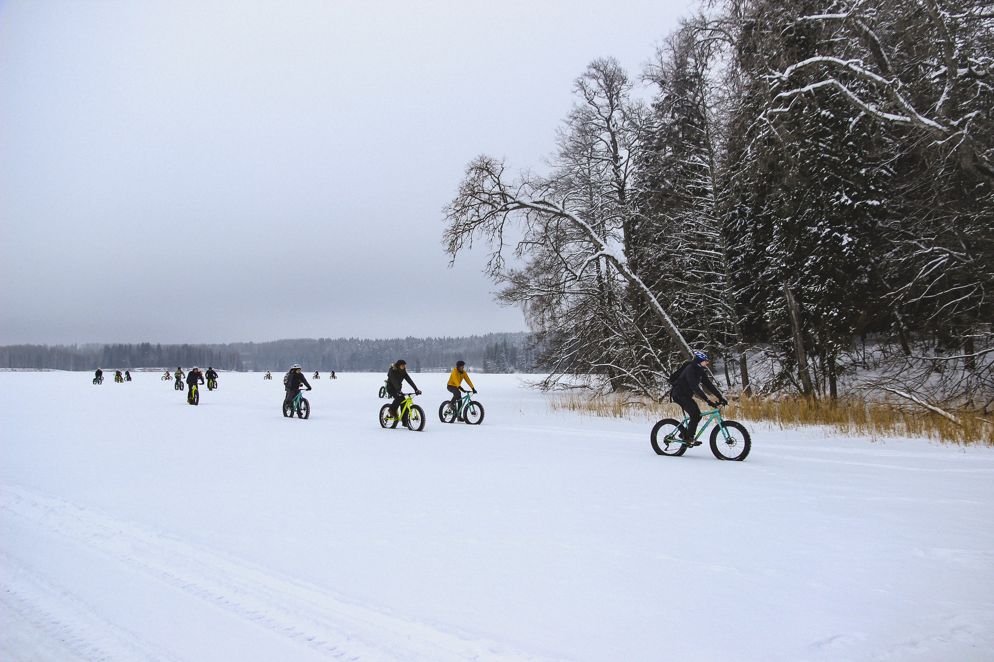 Fatbike rattamatkad Taevaskojas