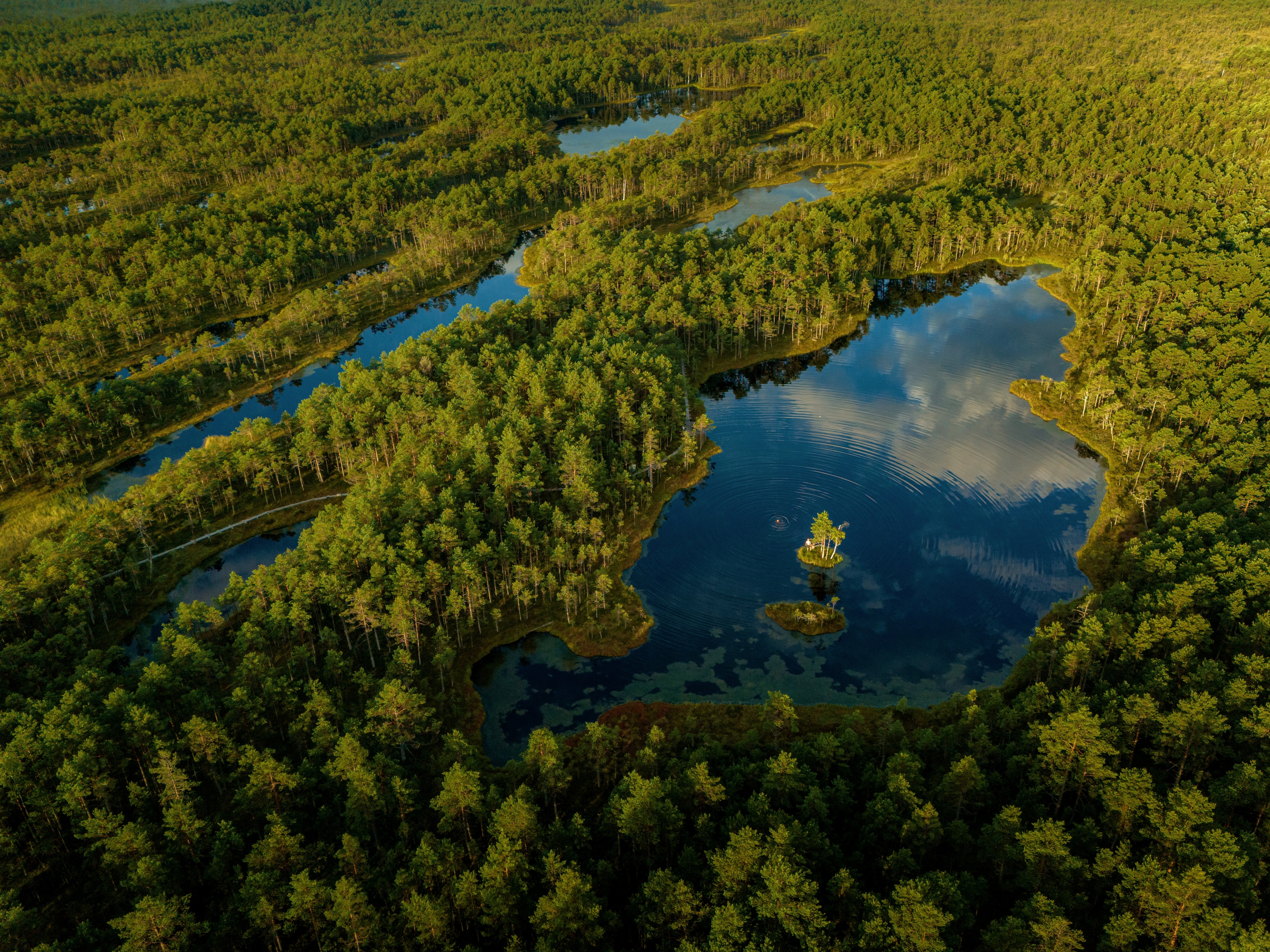 Selisoo matkaraja saarekesega rabajärv