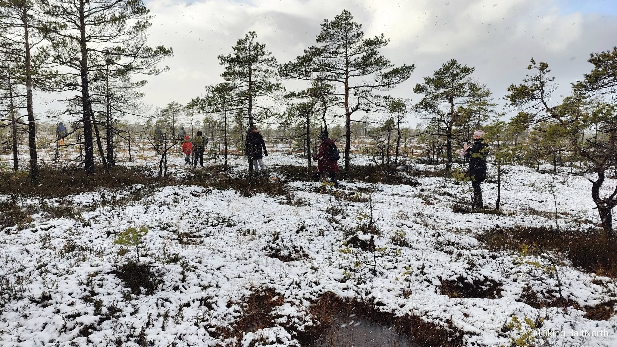 Koitjärve rabamatk talvel