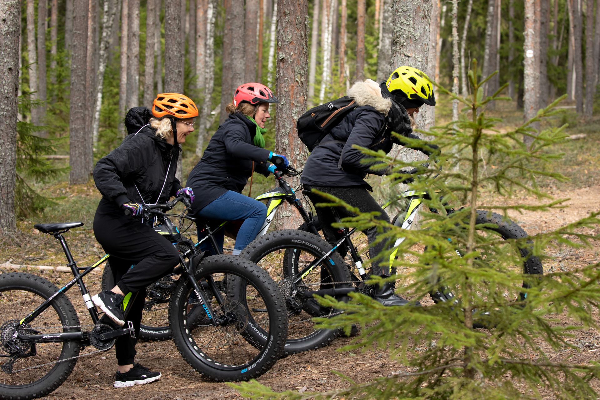 Seiklusterohke jalgrattamatk metsas