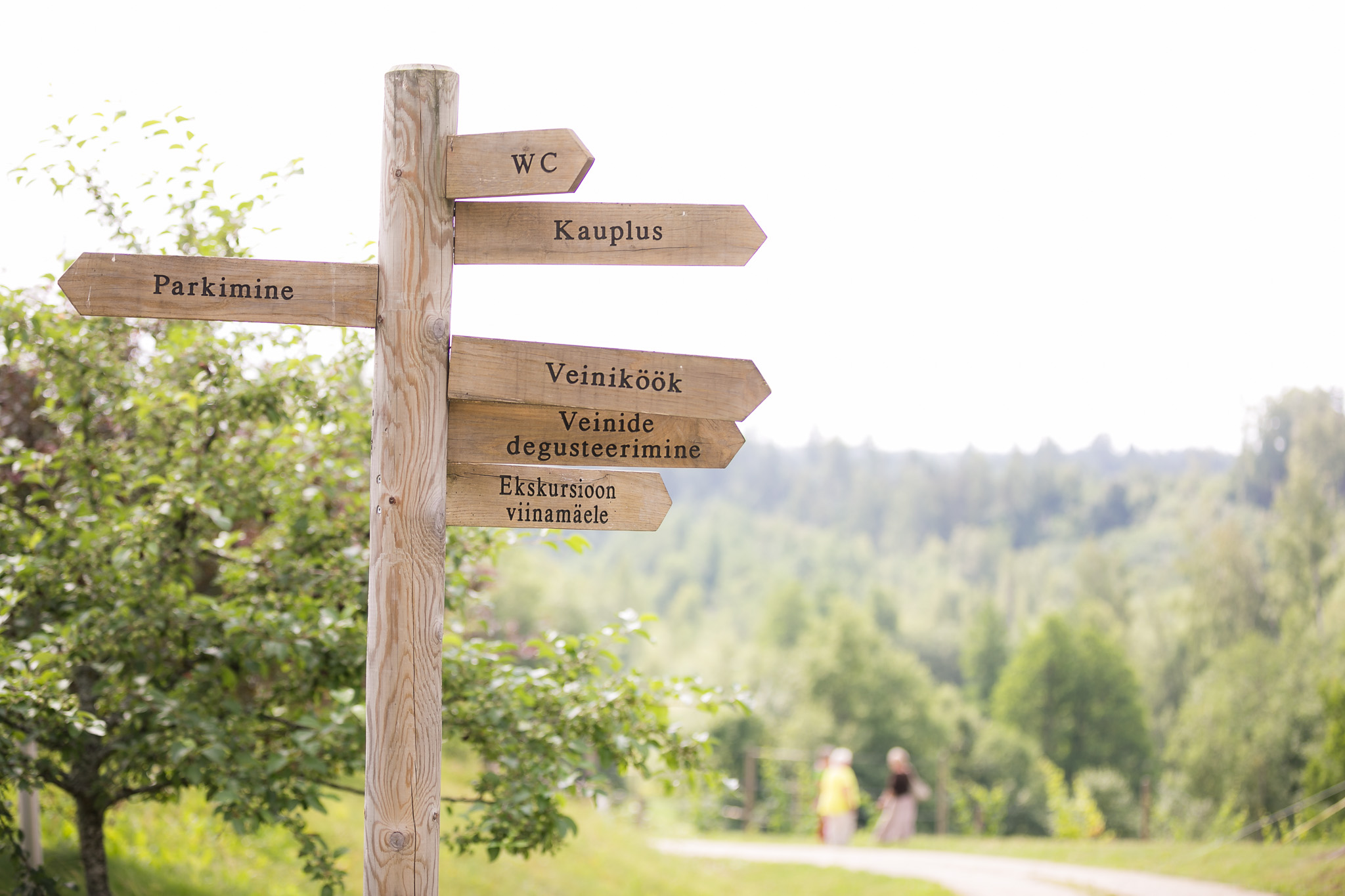 Murimäe Veinikelder