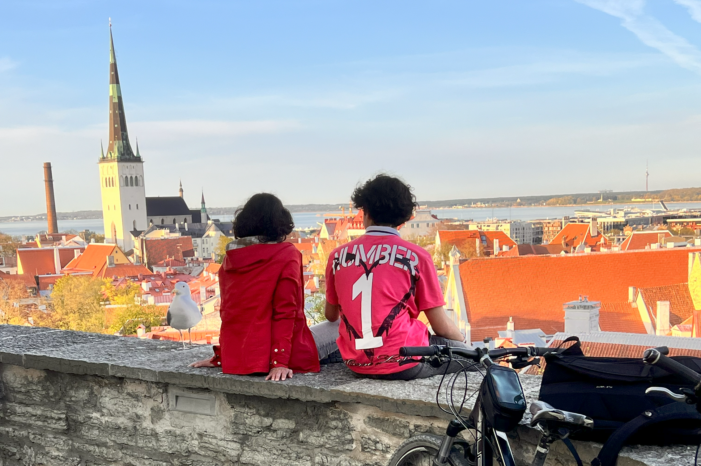 Court observation platform Toompea