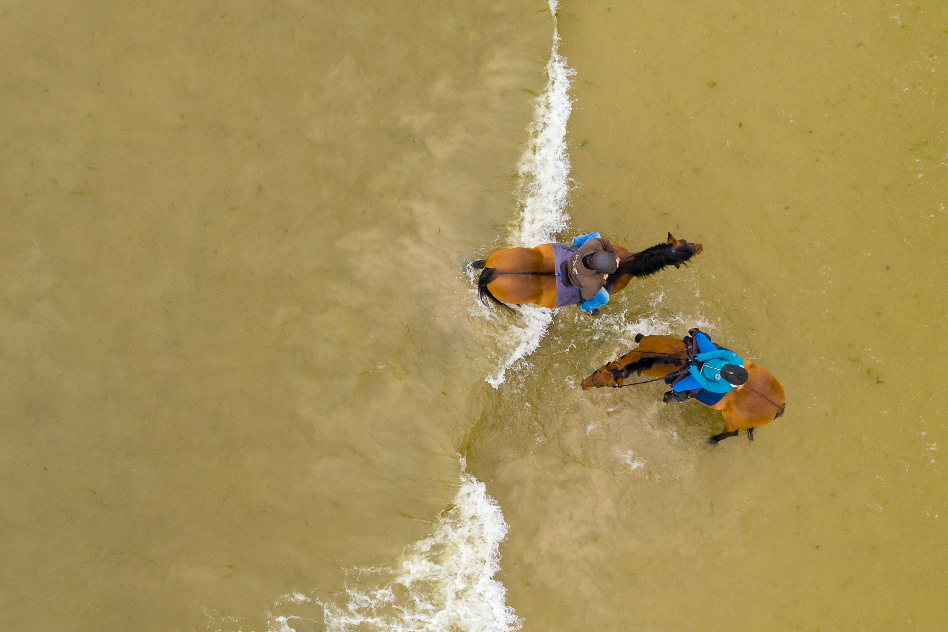 Horse riding excursion to the seaside by Arma equestrian farm