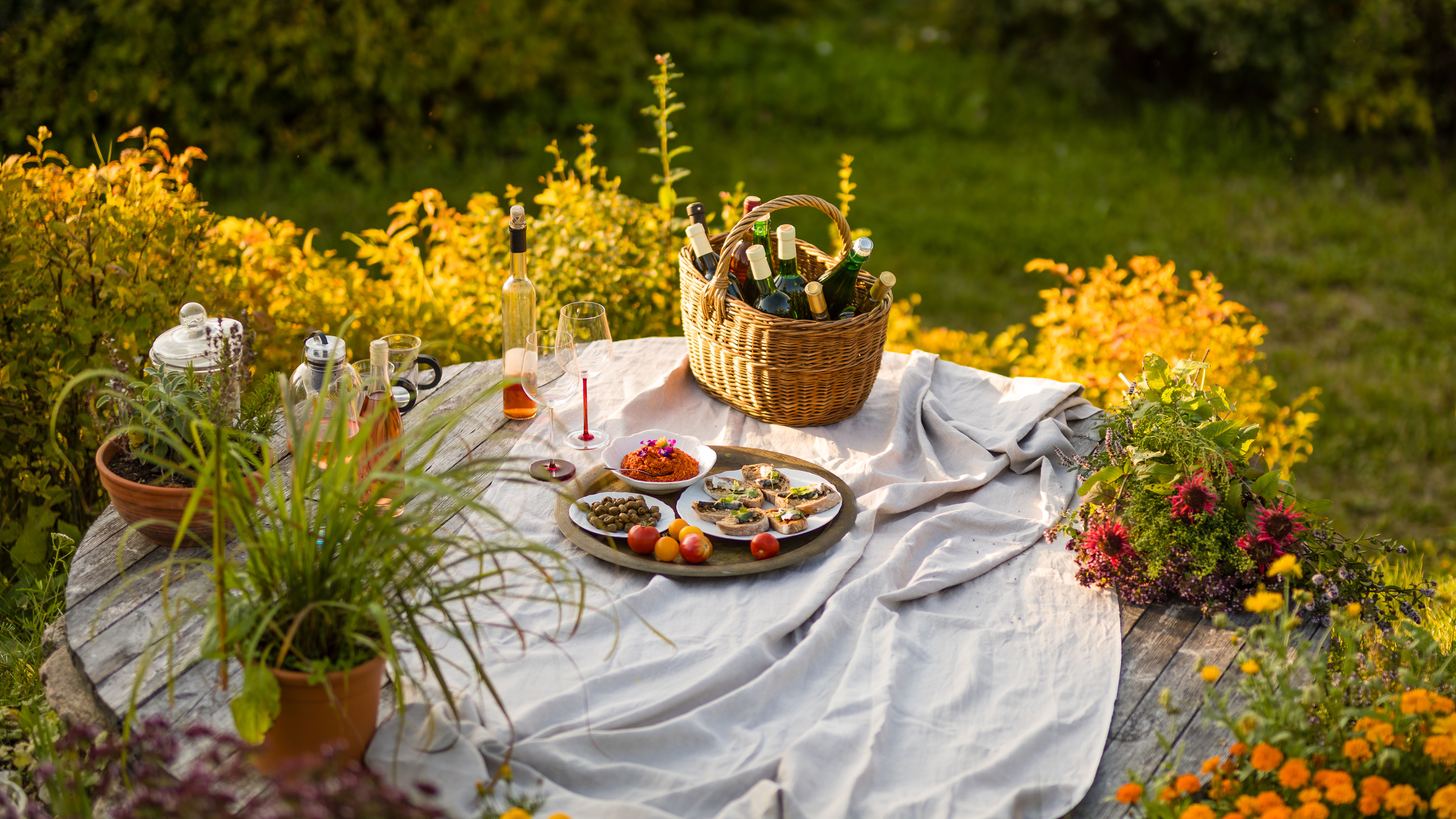 Aru Manor wine picnic