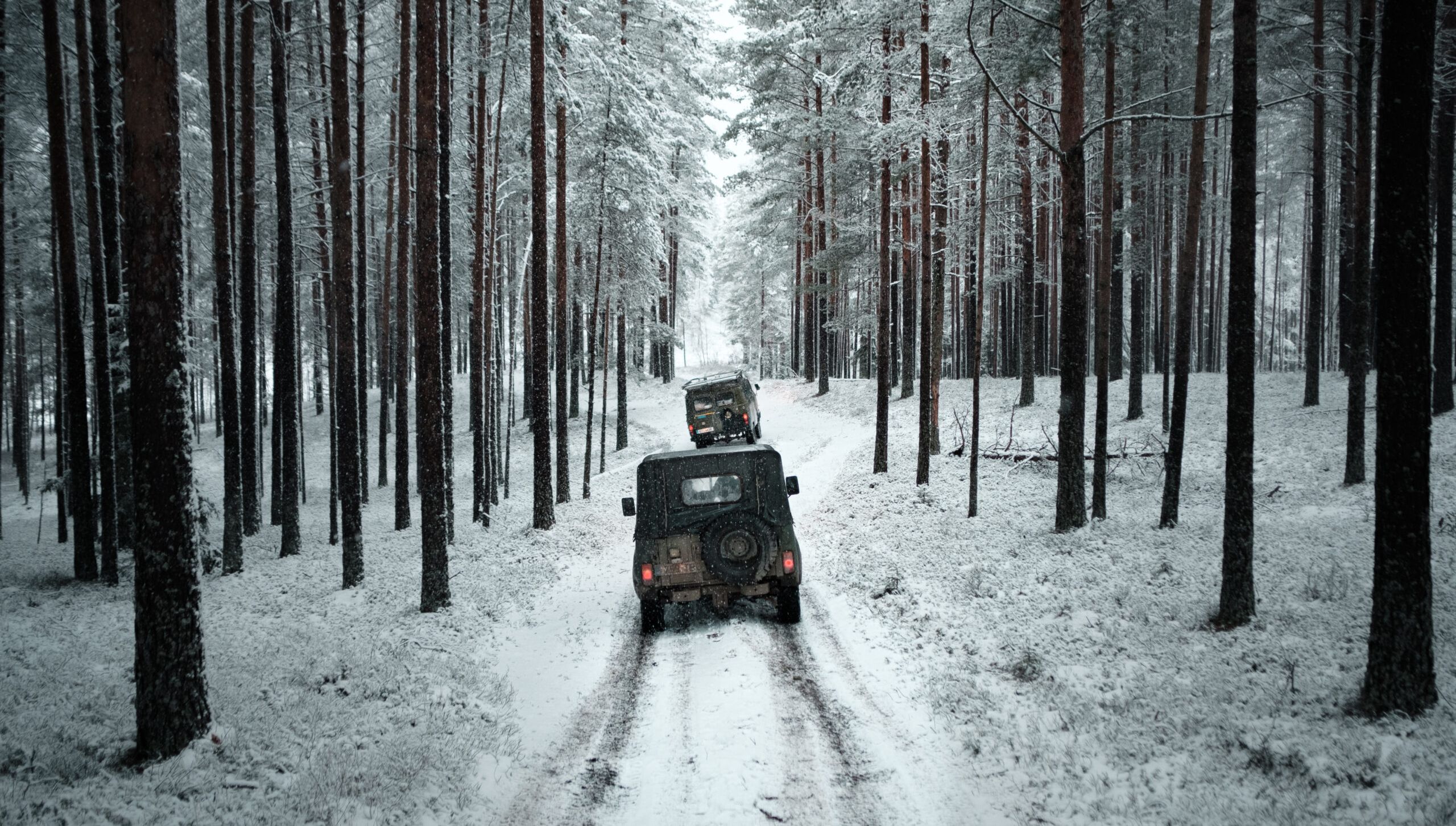Off-road-seikkailu talvimetsässä