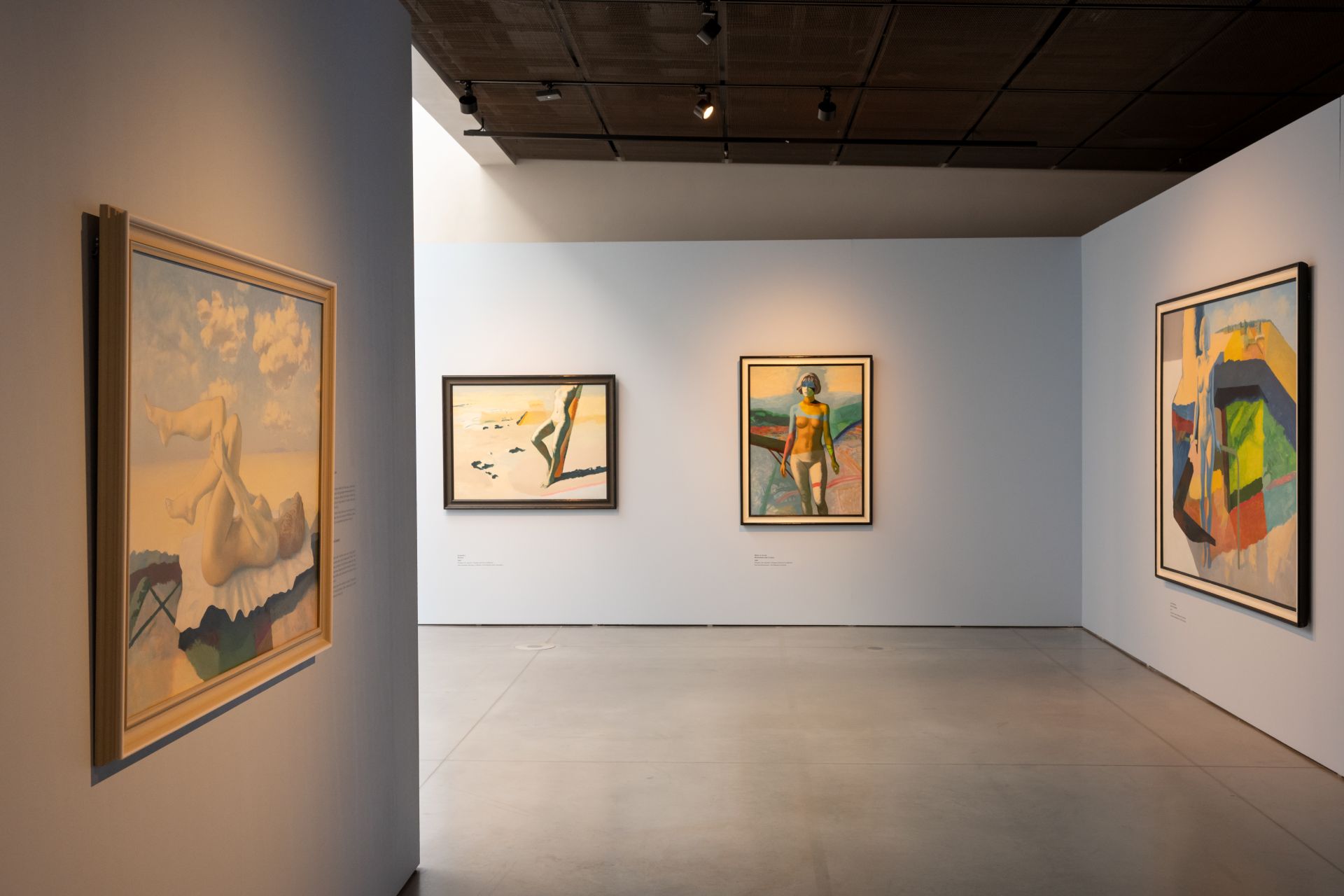 View from "Olev Subbi: Striving for Perfection"