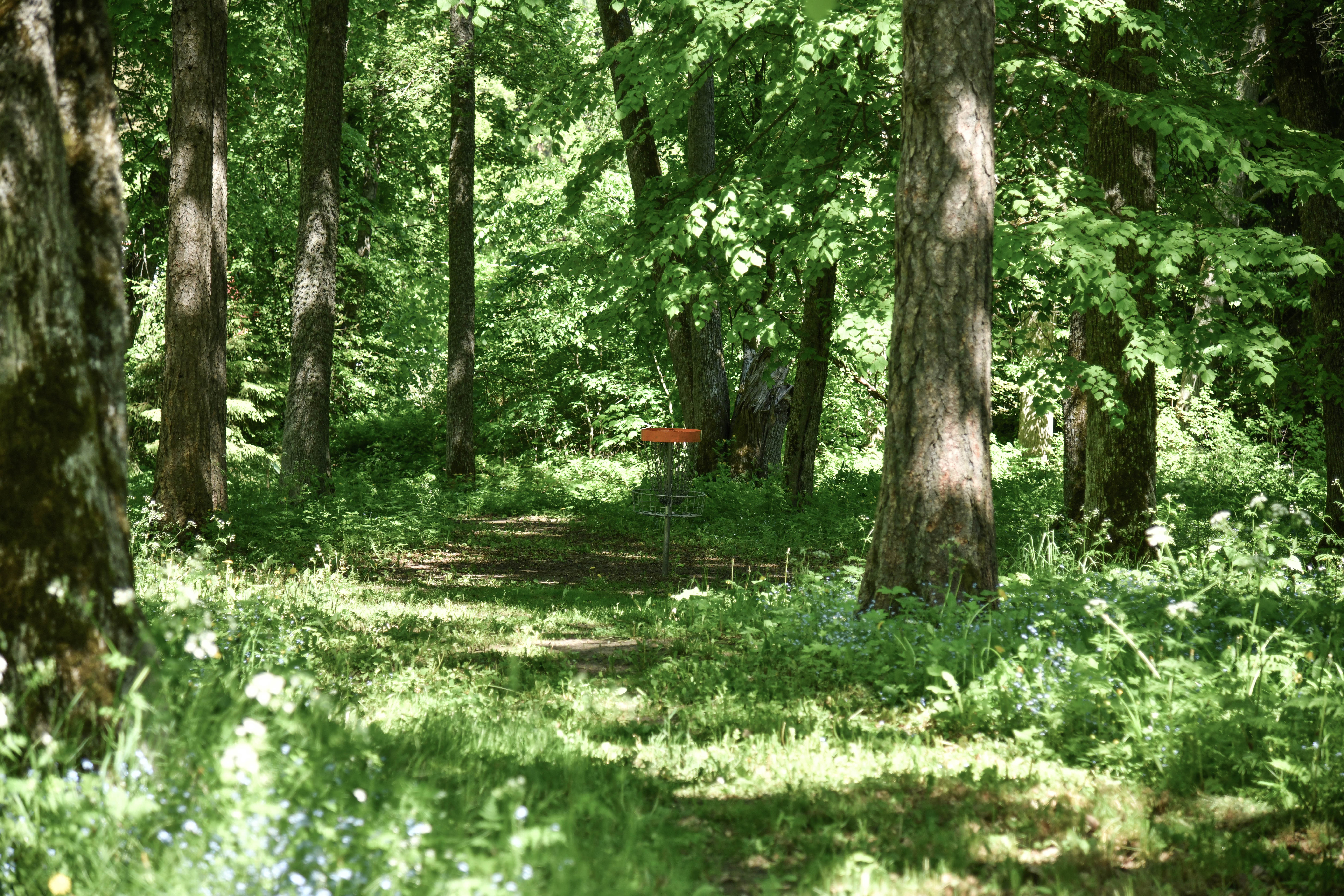 Tõstamaa mõisa park suvel