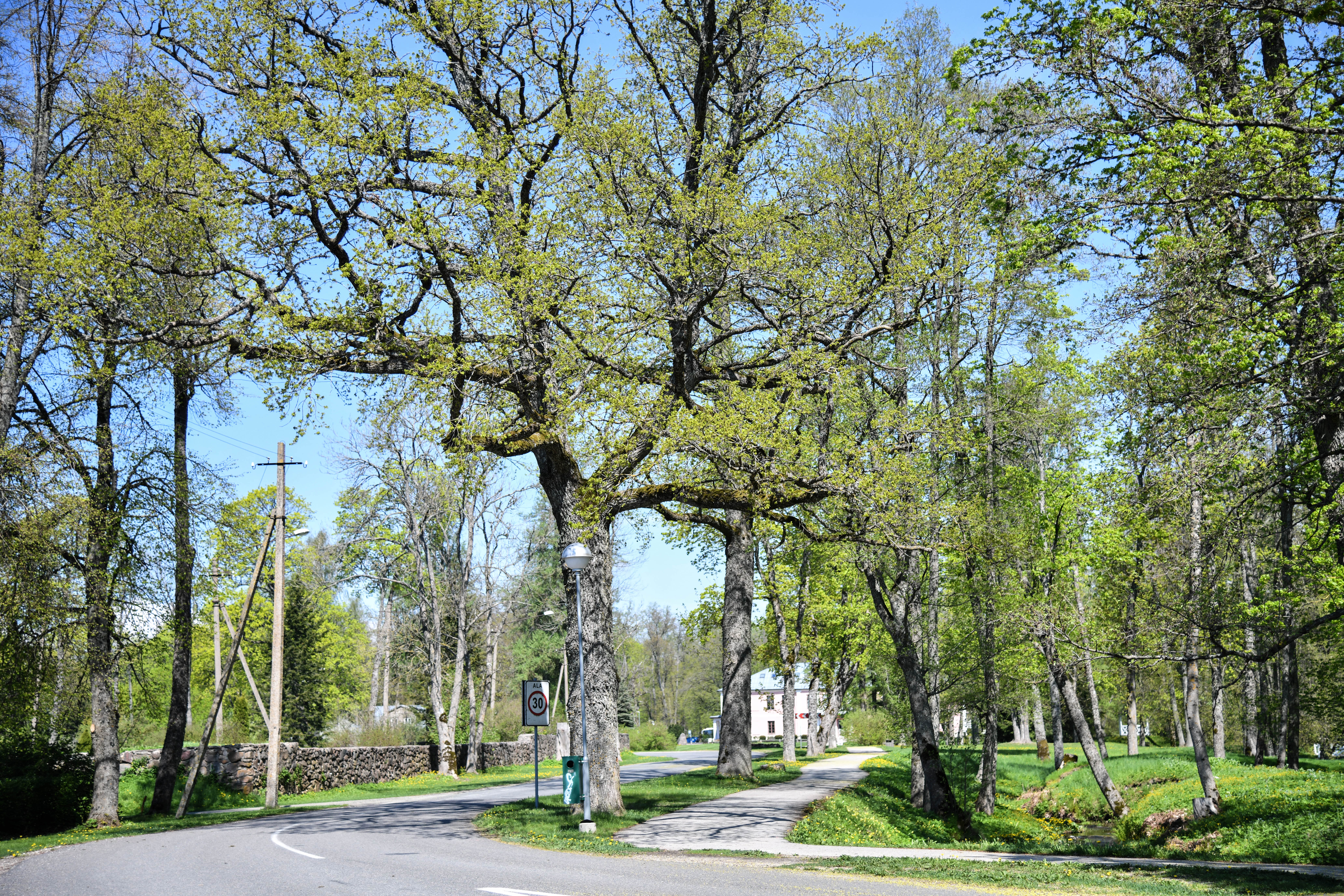Guided Tour of Tõstamaa Small Town 