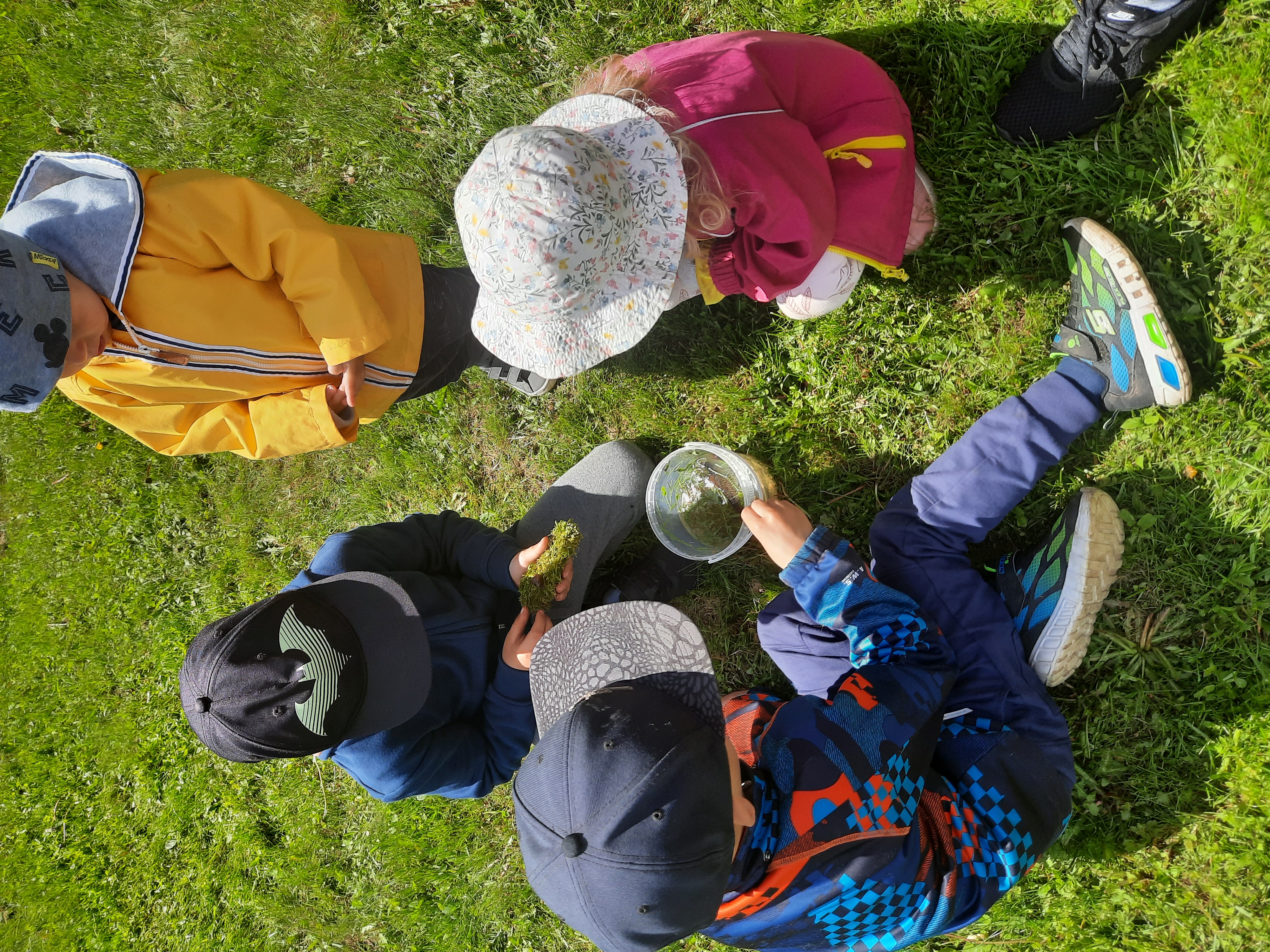 Photo Hunt in Luke Manor Park for Adults and Kids