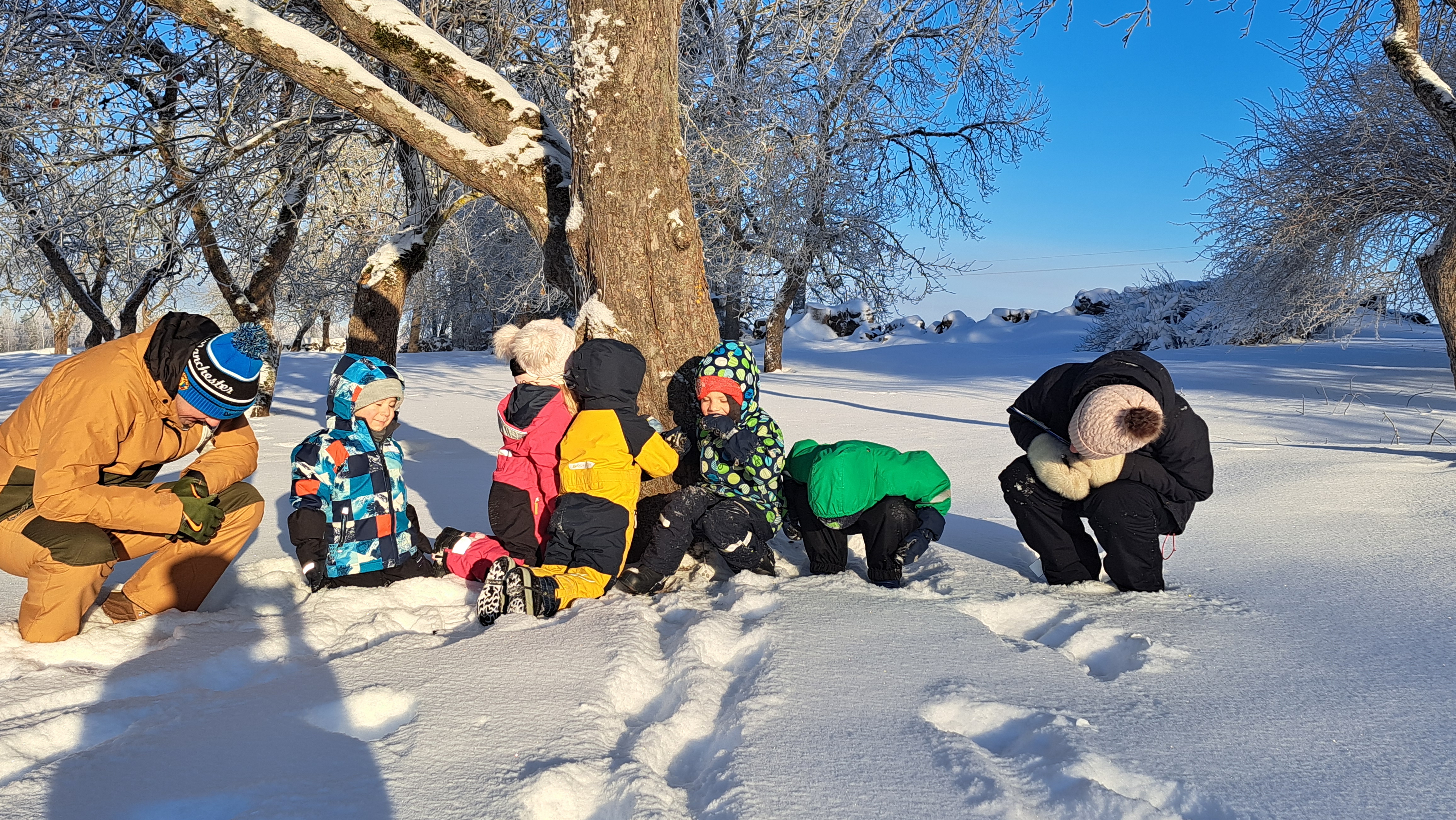 Photo Hunt in Luke Manor Park in a Snowy Winter