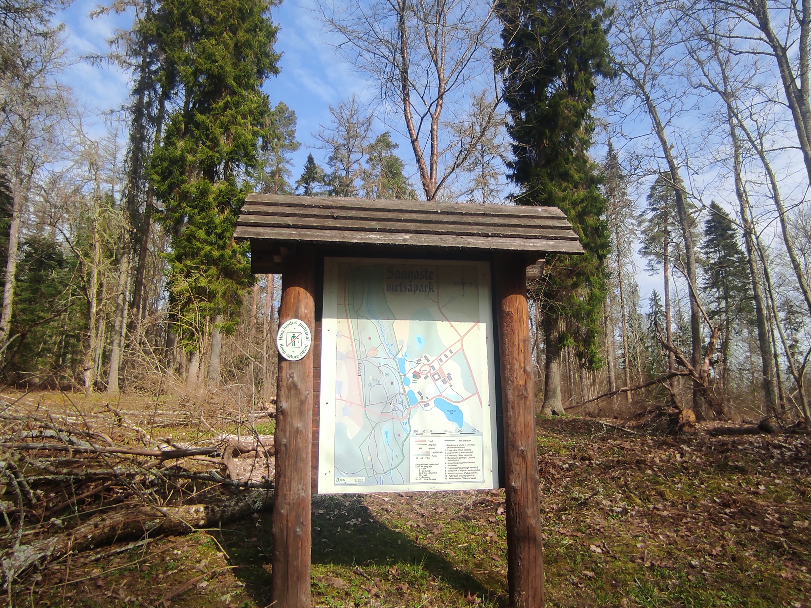 Sangaste Metsapargi rada