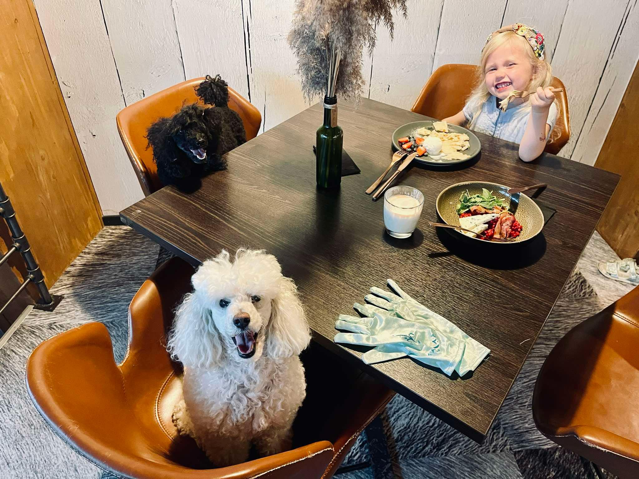 Elva Keegel ja Resto pere-ja lemmikloomasõbralik