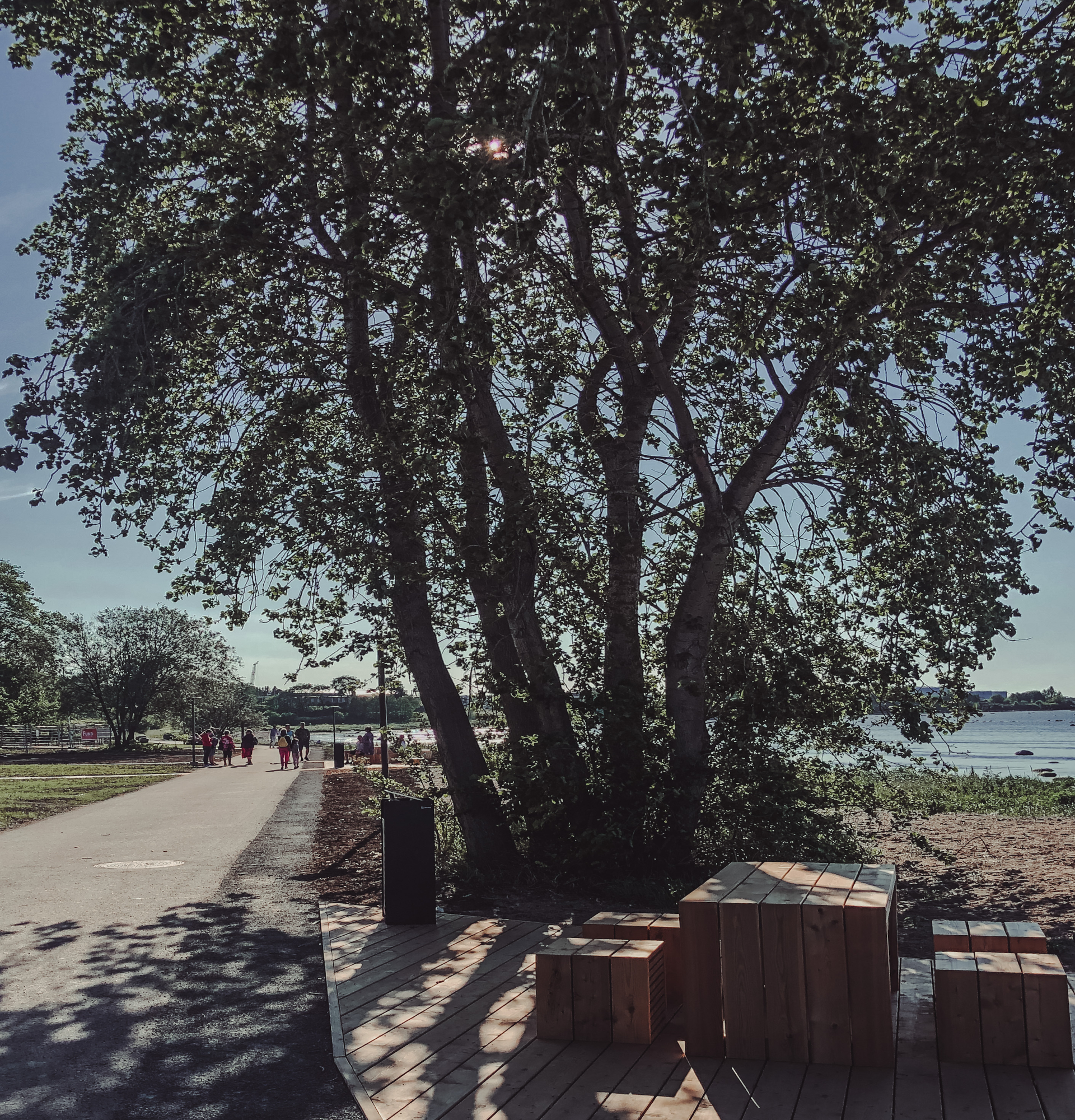 Kopli rannapromenad, Tallinna loodus