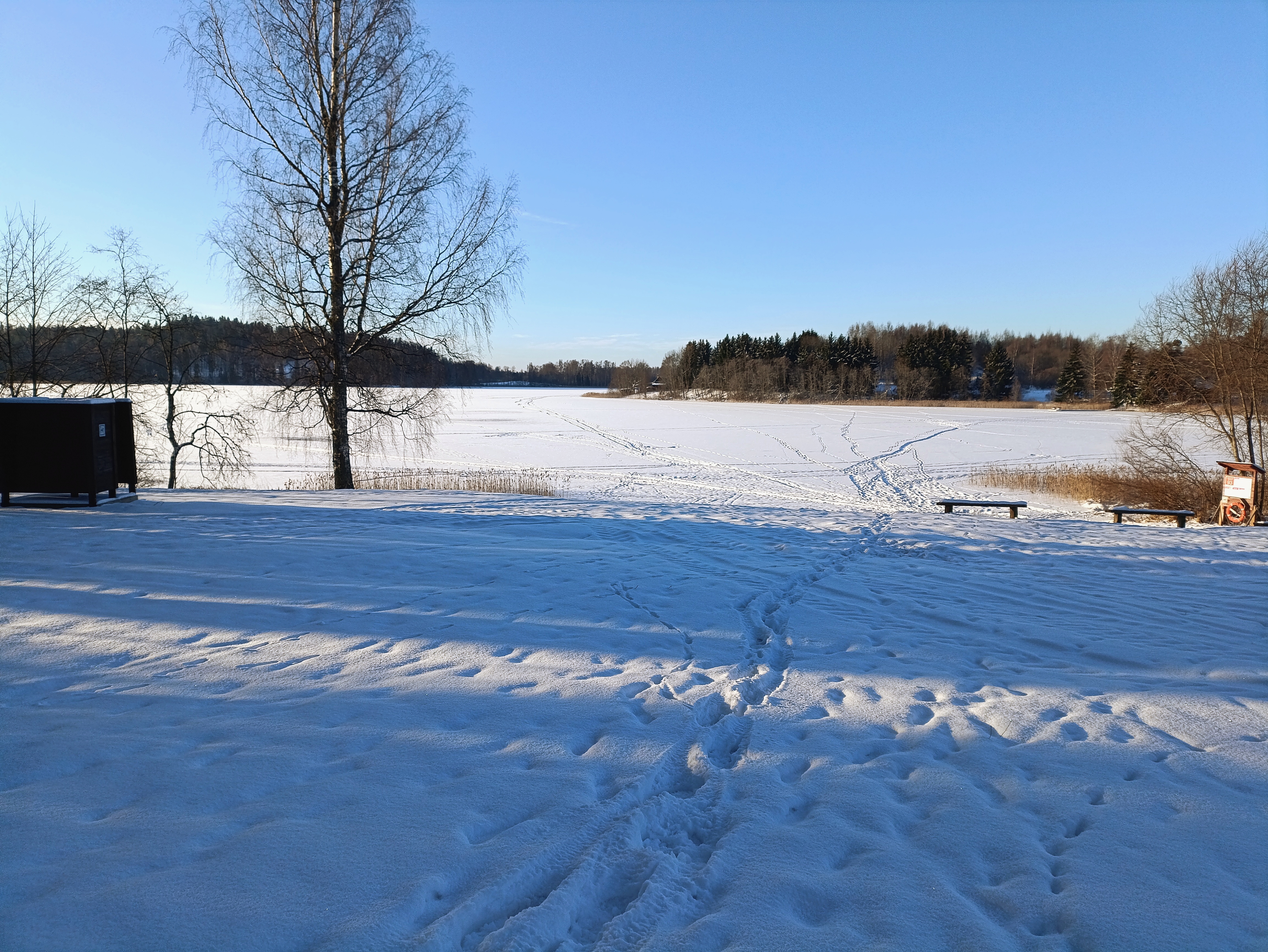 Sunny winter at Pangodi Lake