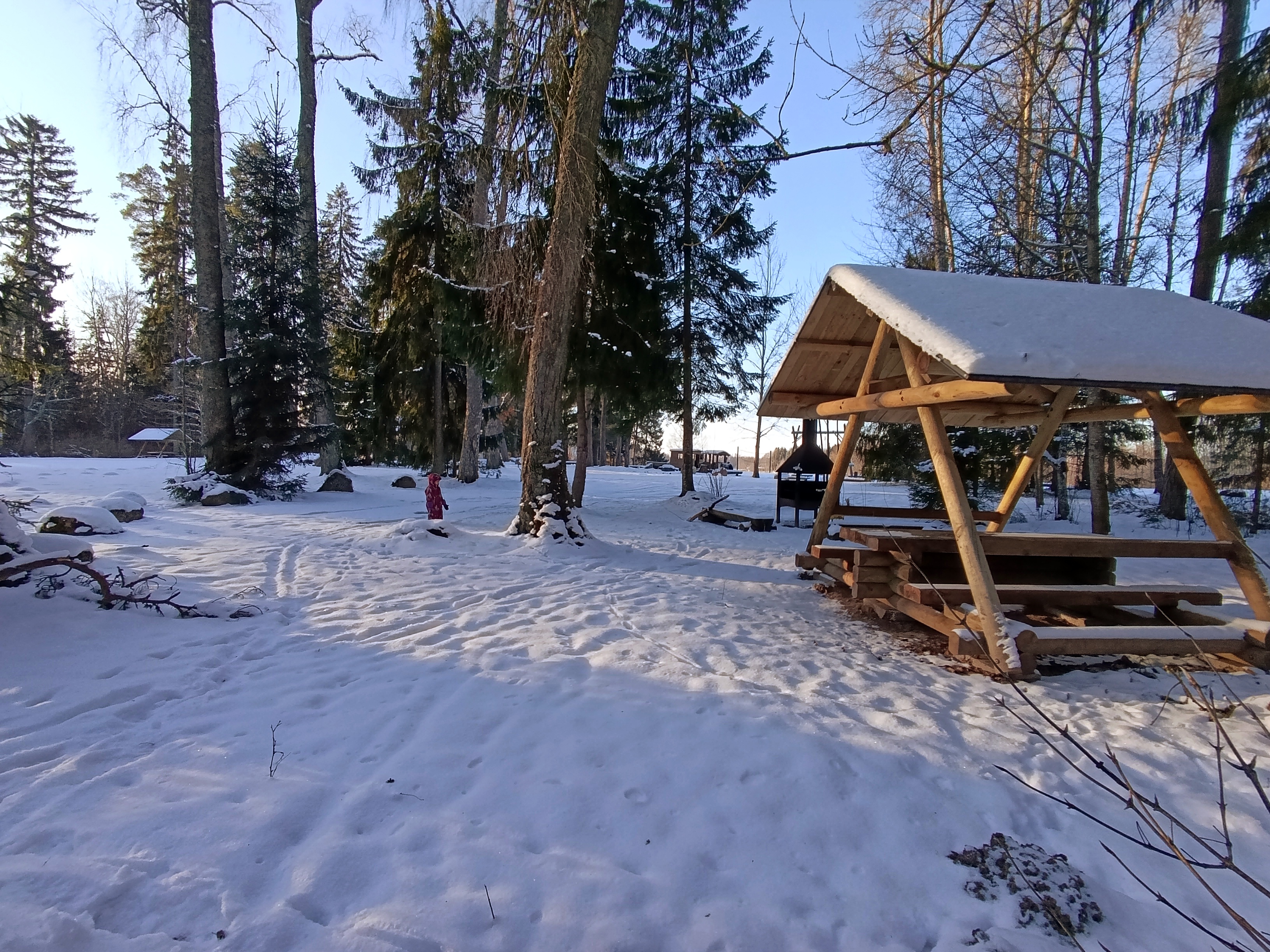 Winter campfire spot at Pangodi Lake