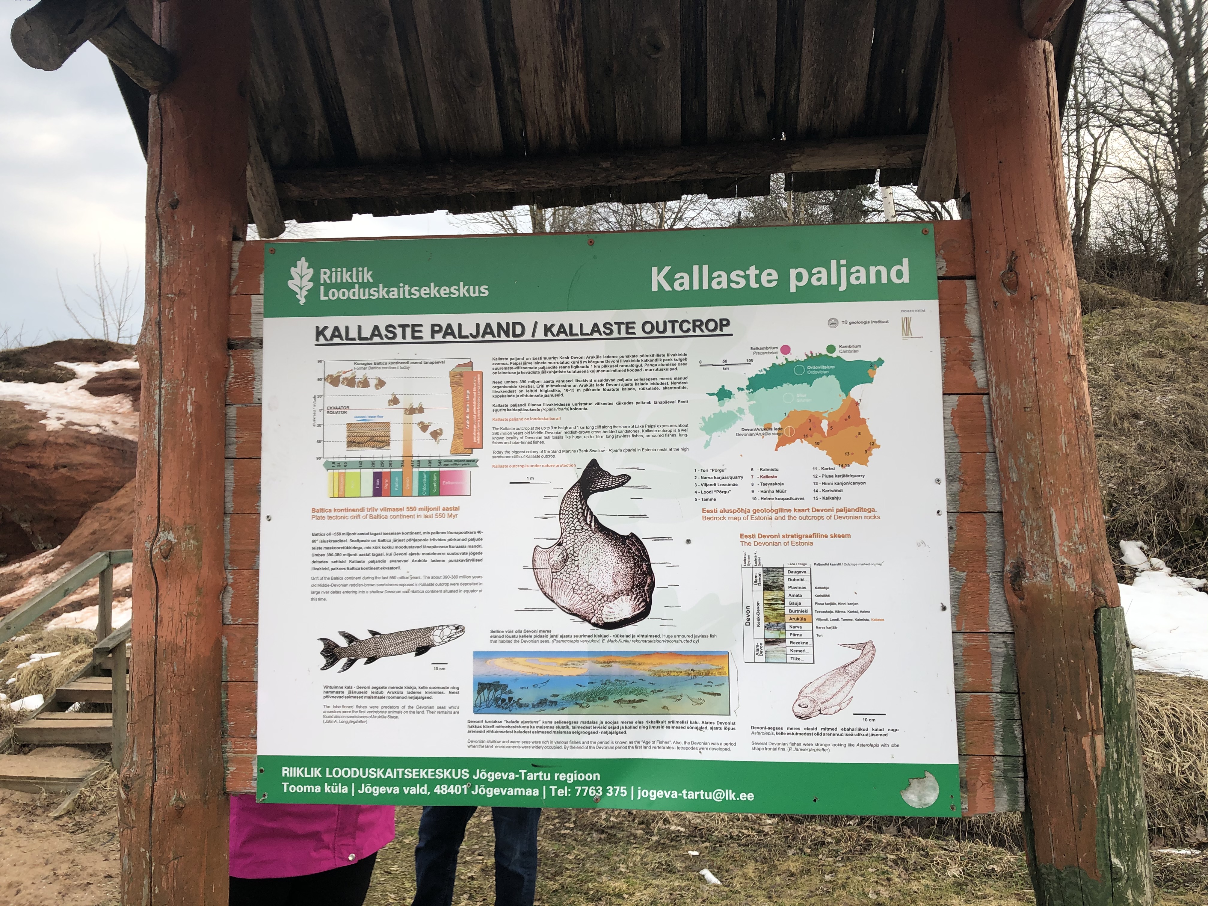Kallaste pank