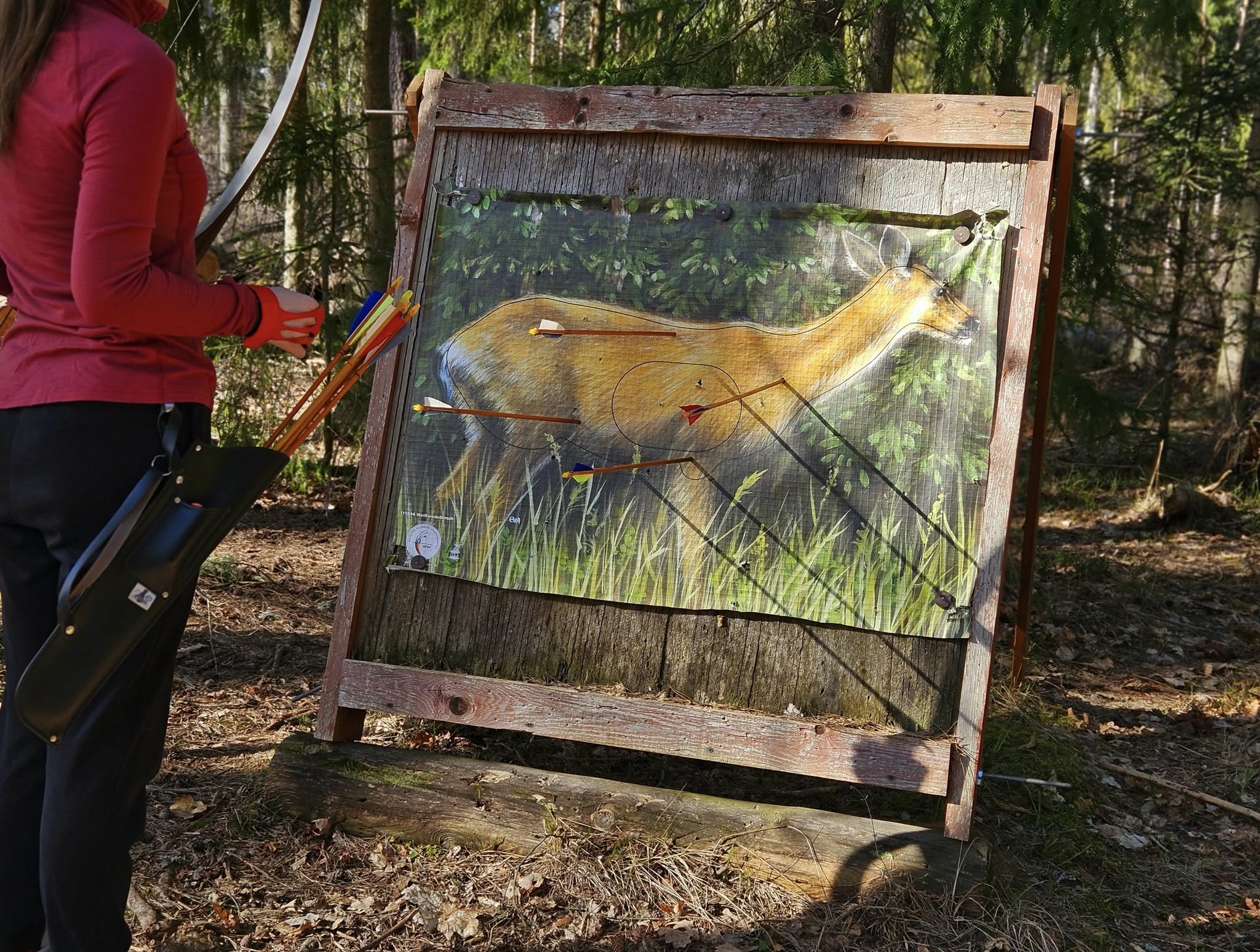 Arrows in a deer archery target.