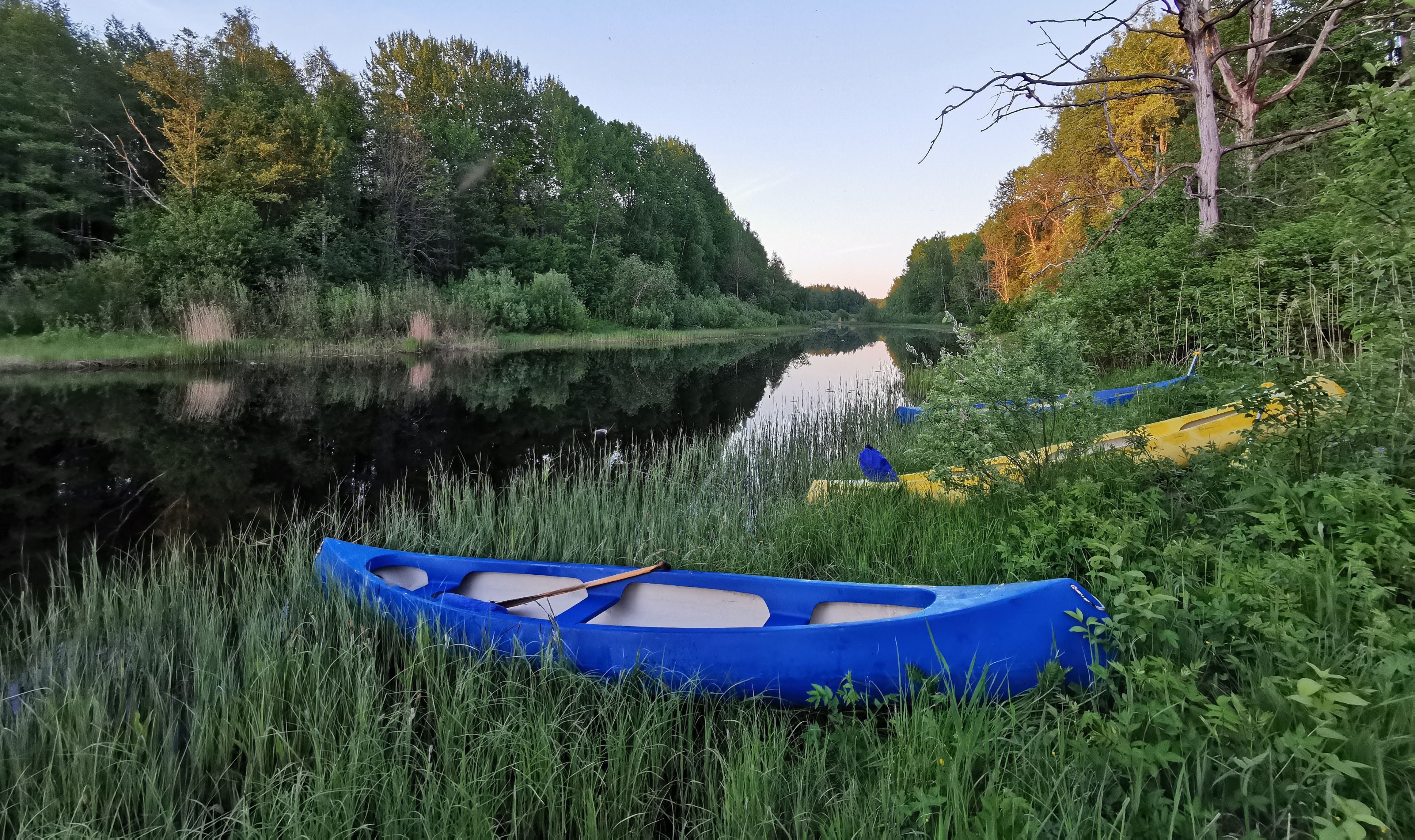Seikle Vabaks kanuu- ja kopravaatlusretk Soomaa rahvuspargis
