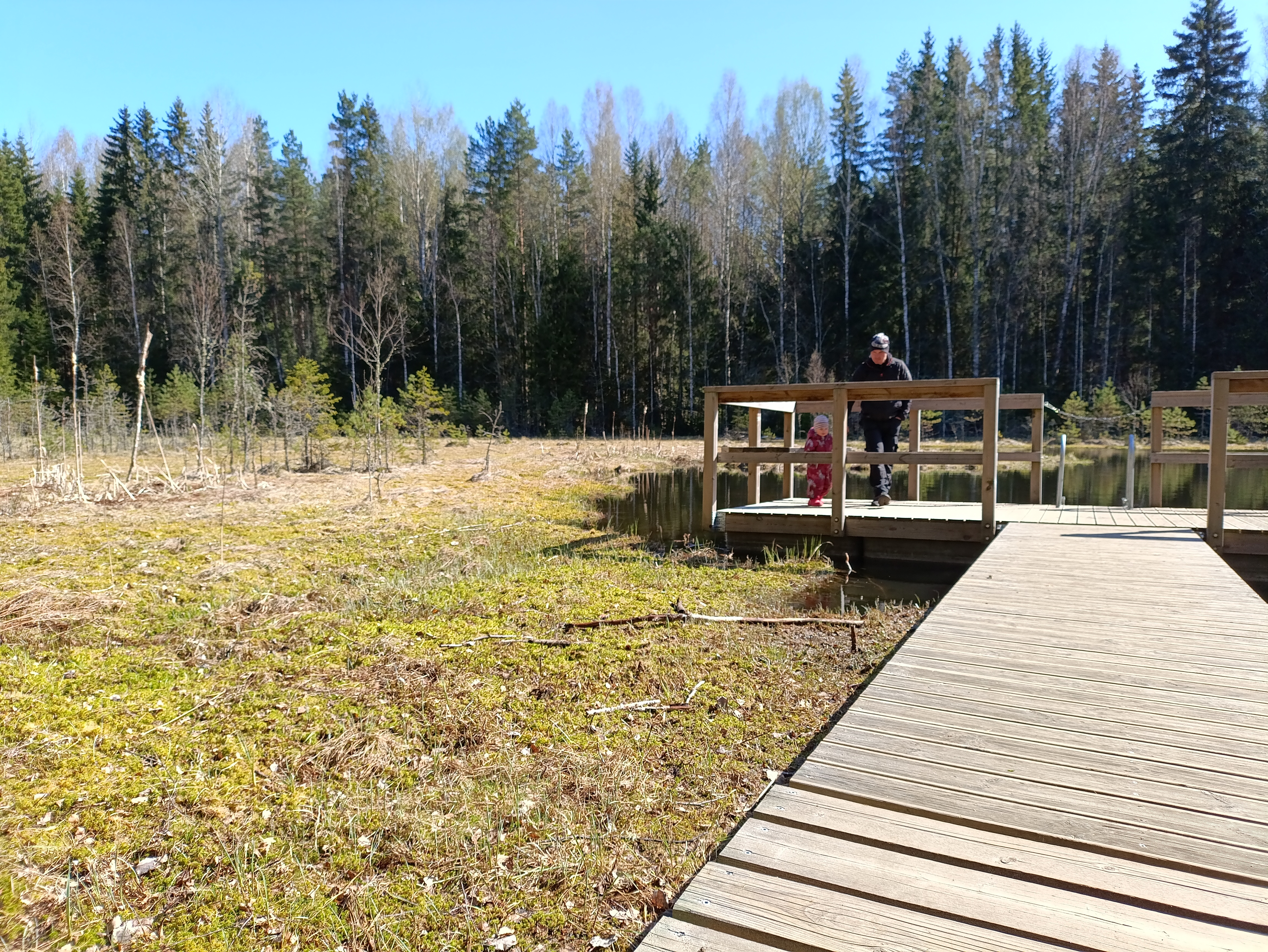 Viti järve matkarajale jääb kaunis Viti metsajärv