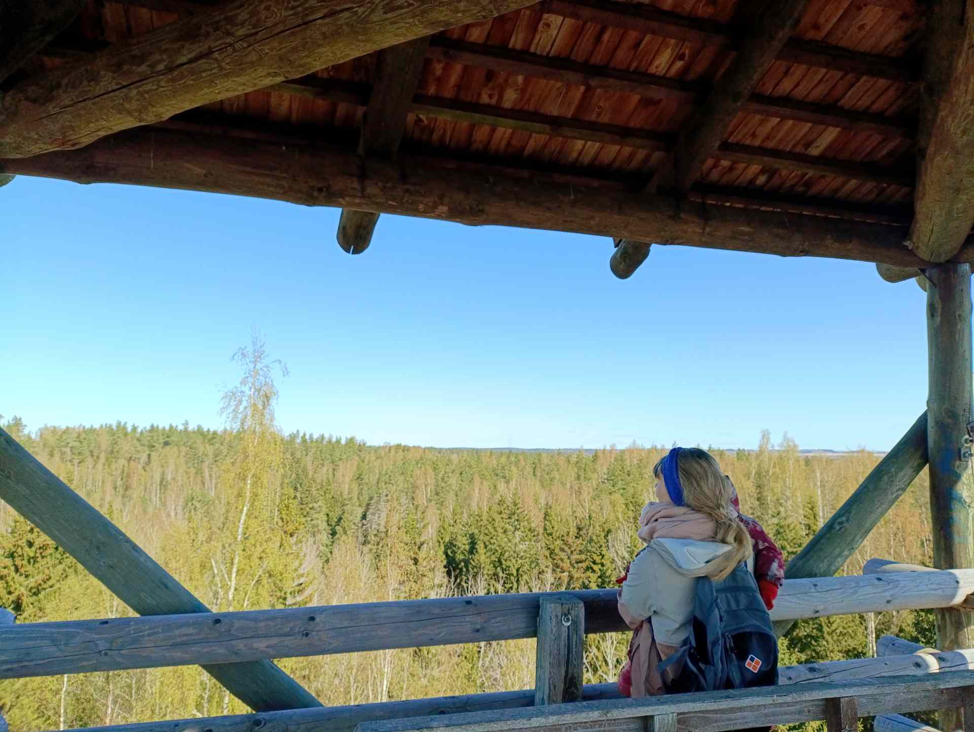 Vaade Viti järve vaatetornist metsarohelusse