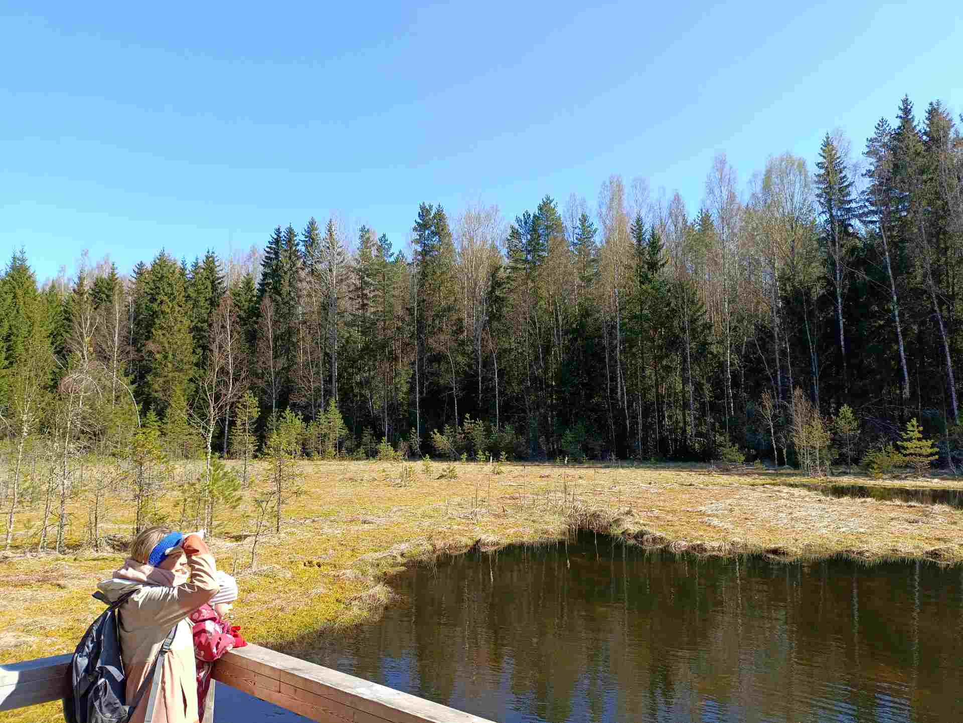 Viti järve matkarajale jääv Viti järv koos purdega