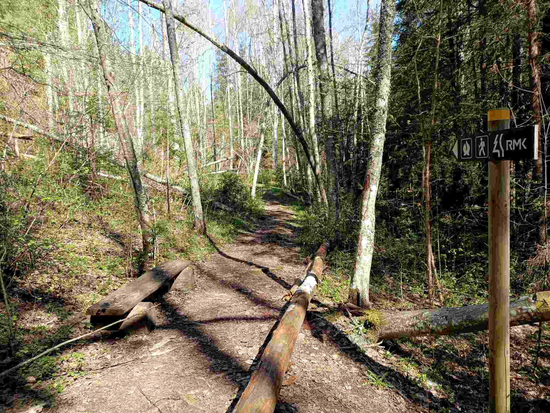 Viti järve õpperada lookleb metsas