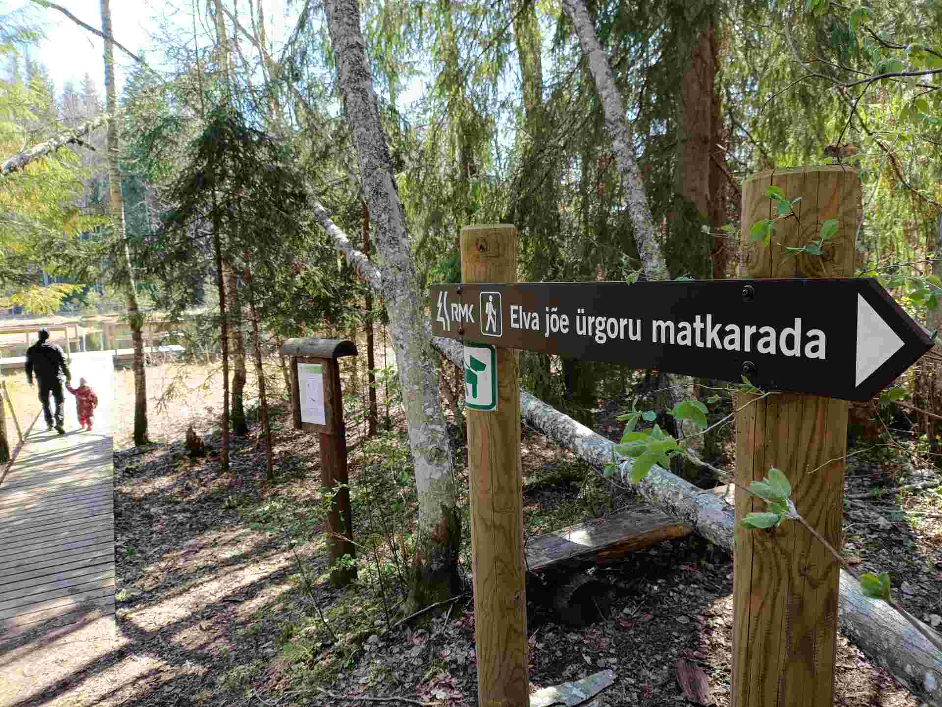 Viti järve matkarada on jõukohane igas vanuses matkajale