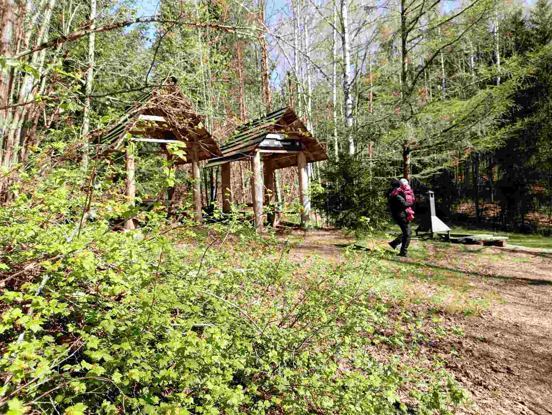 Viti järve matkaraja piknikukoht koos lõkkekohaga