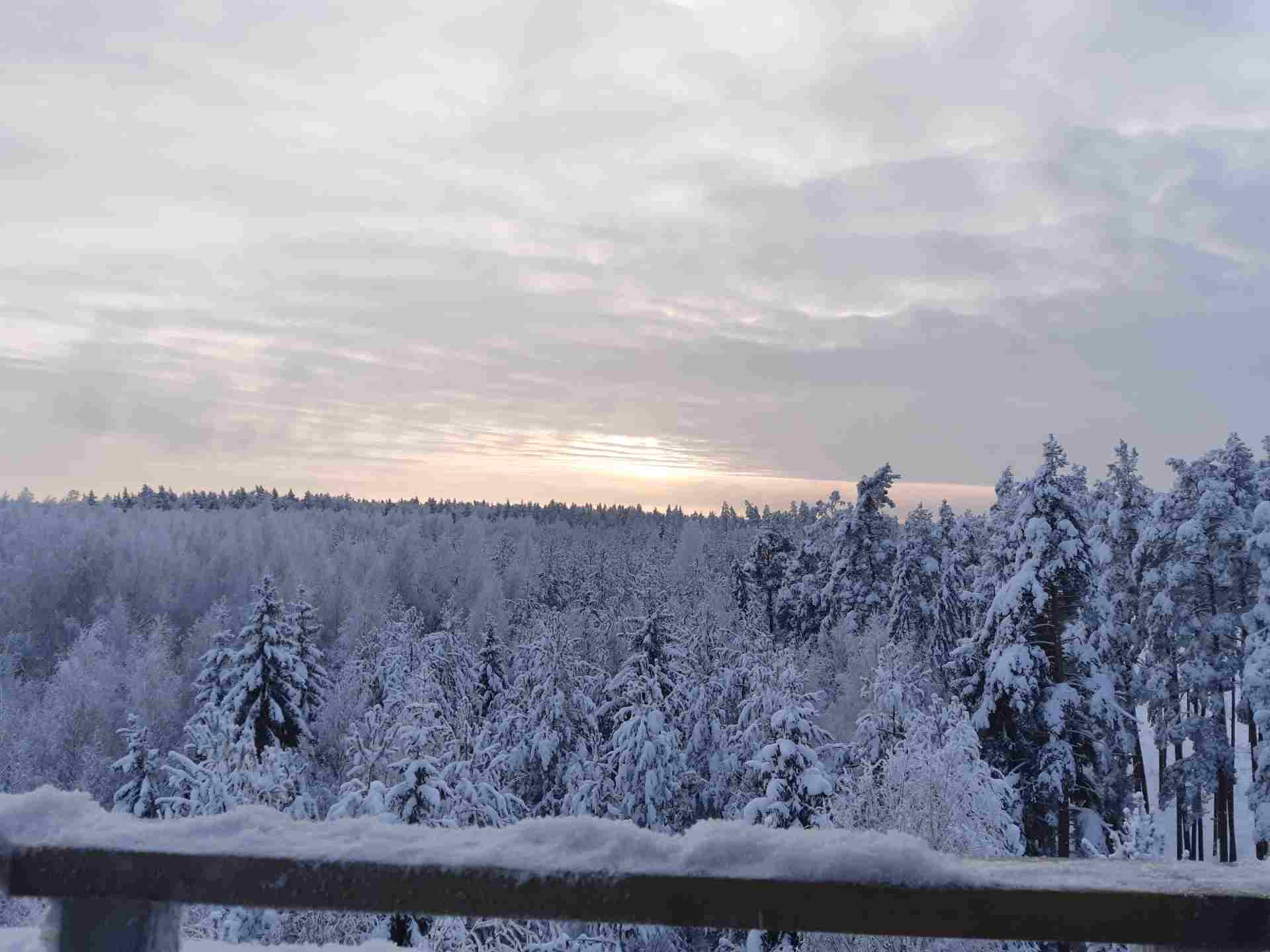 Viti järve vaatetorni talvine vaade