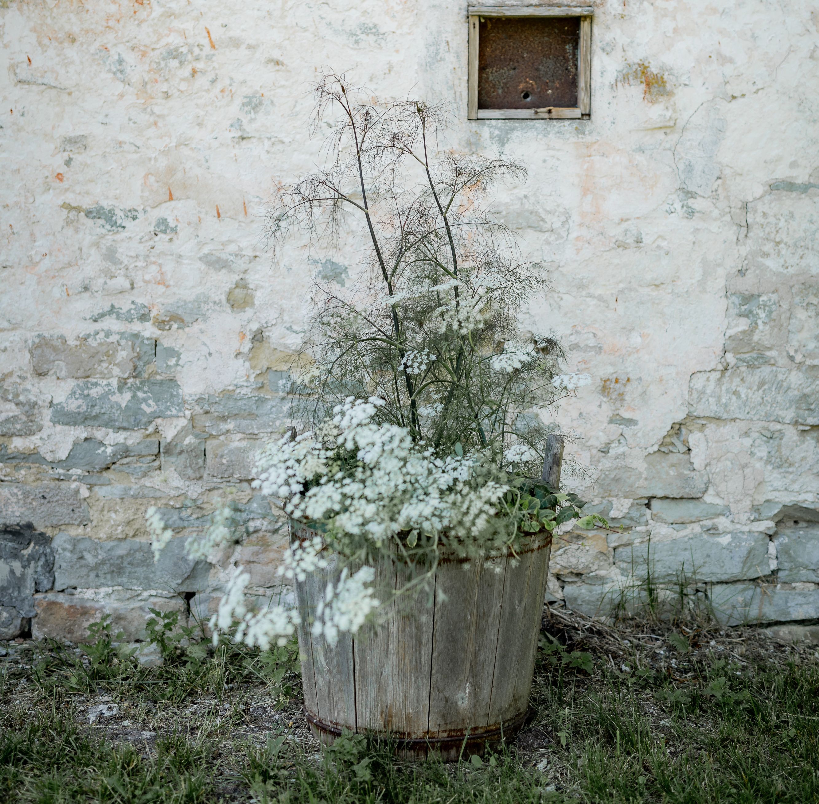 Pilguse Residency Saaremaal