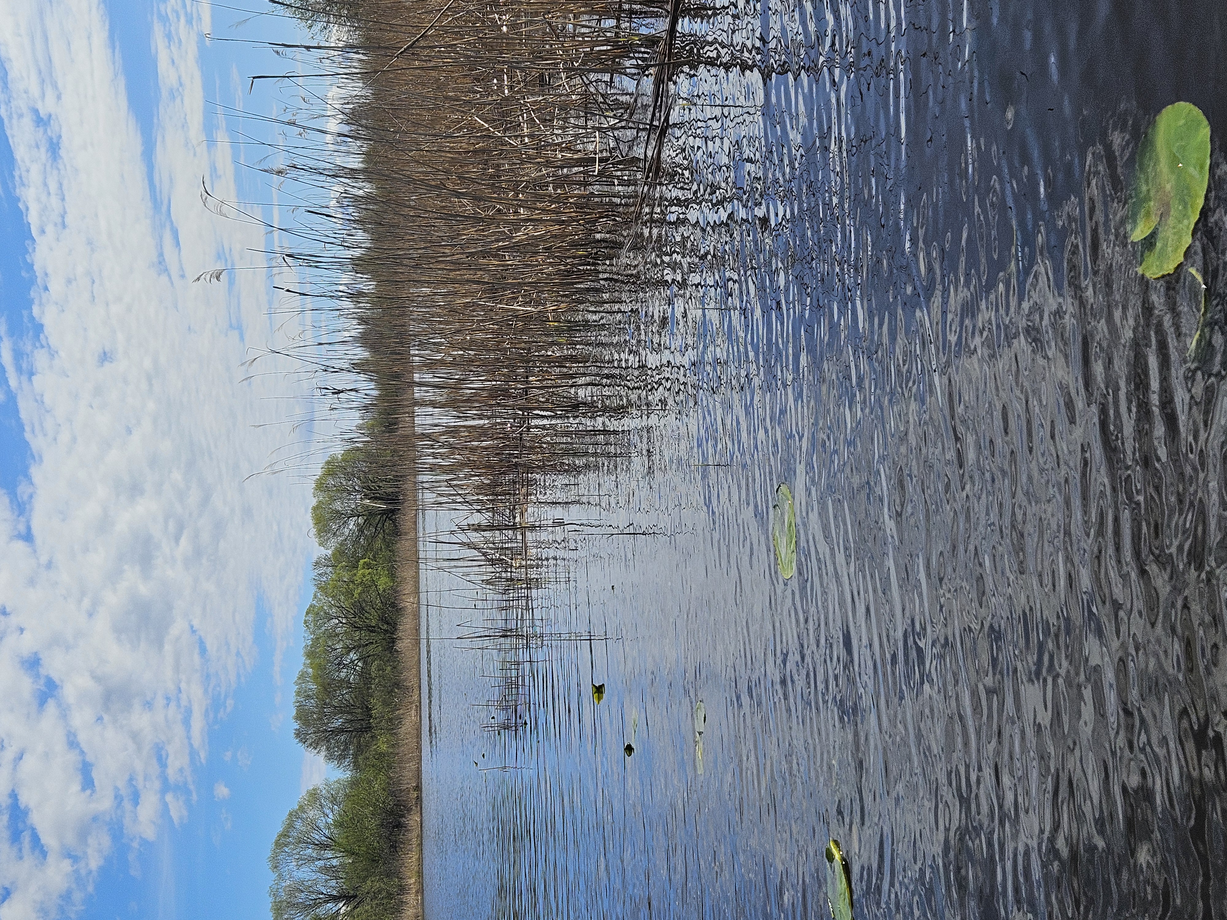 Emajõgi