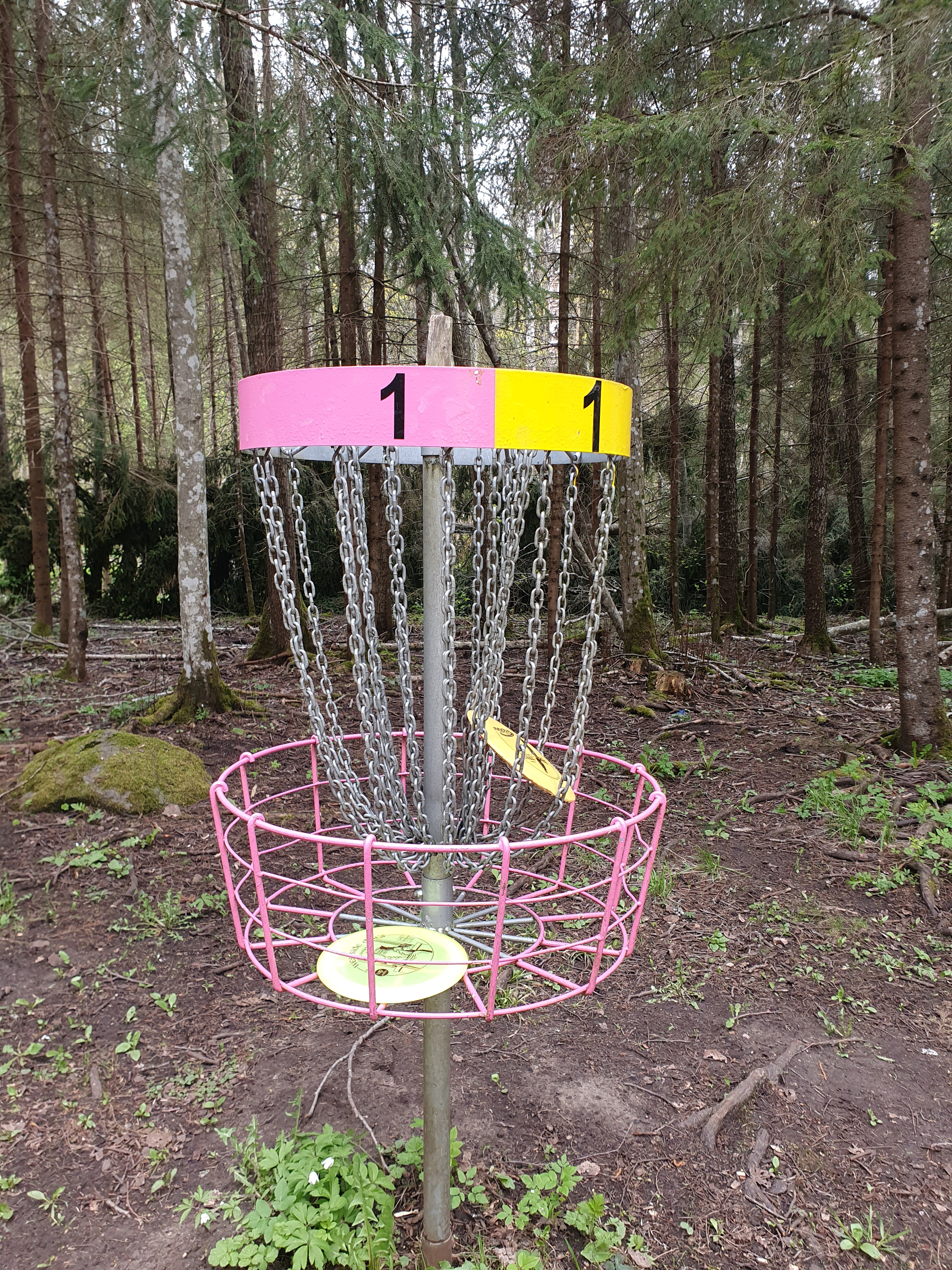 Holstre-Polli Spordikeskuse discgolfirada