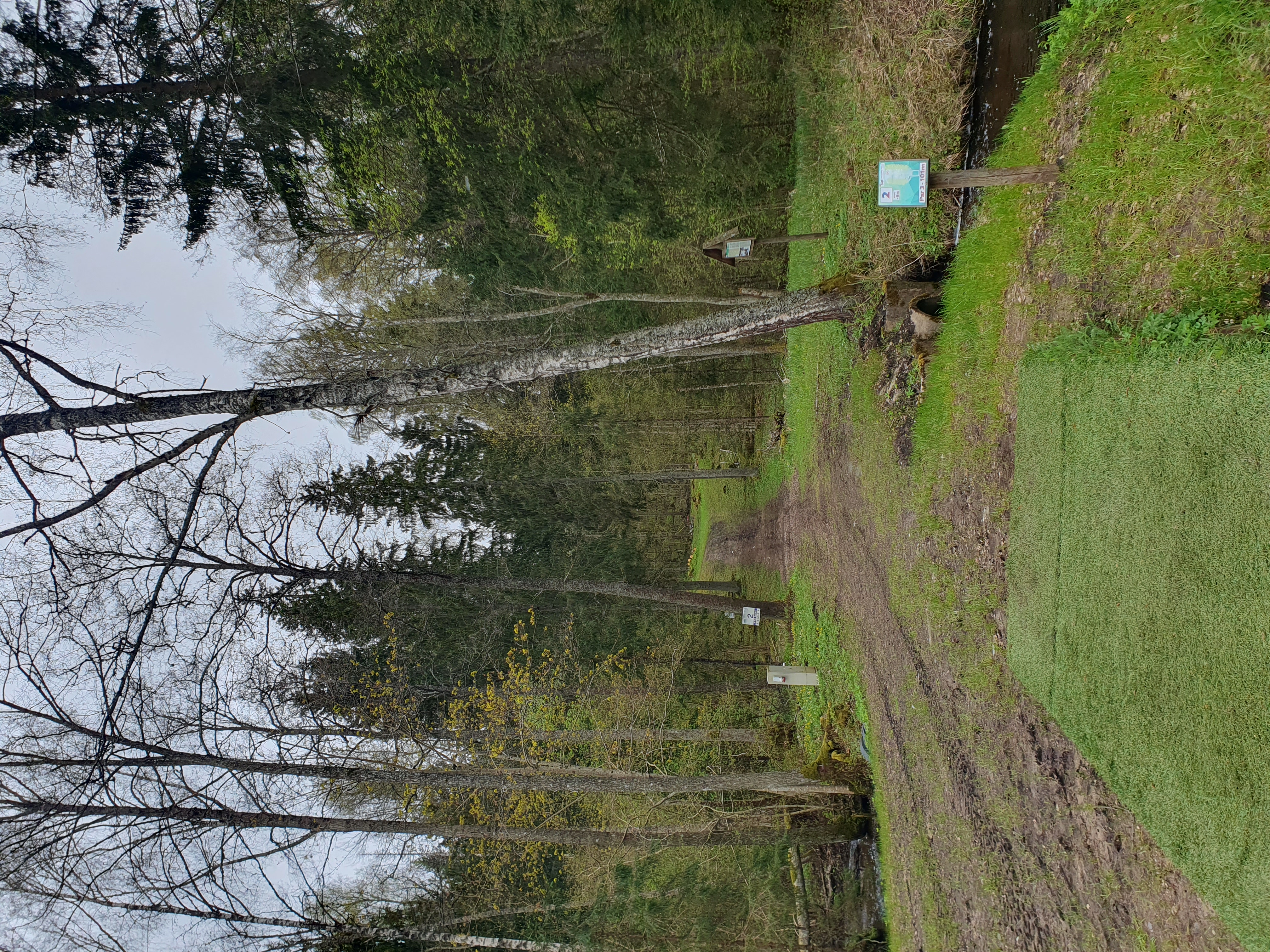 Holstre-Polli Spordikeskuse discgolfirada