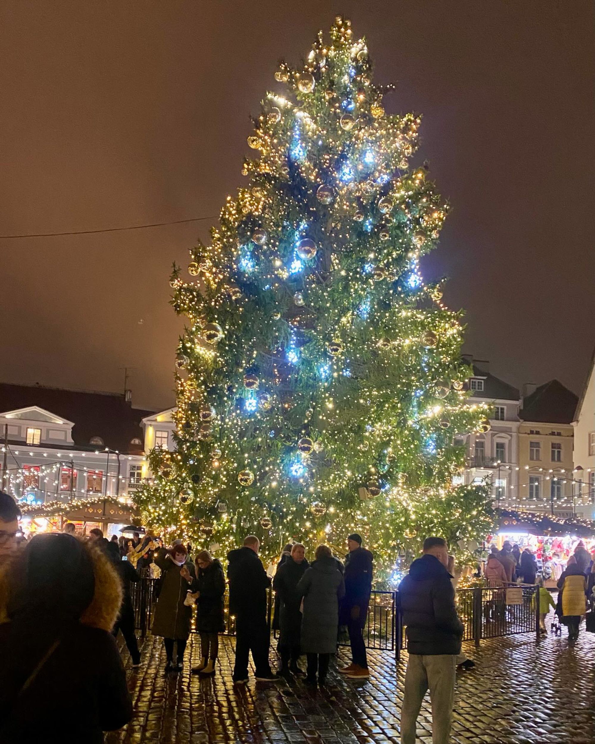 Jõulupuu