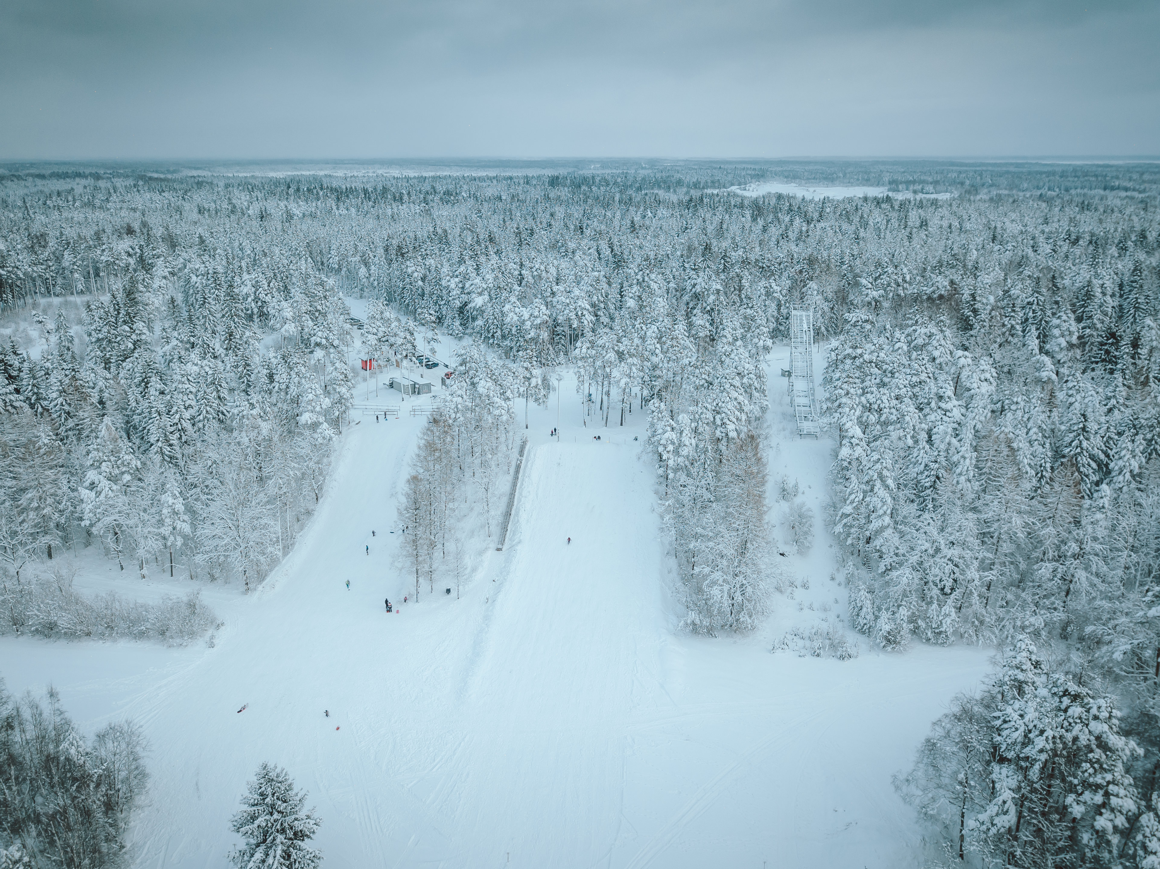 palivere Pikajalamägi