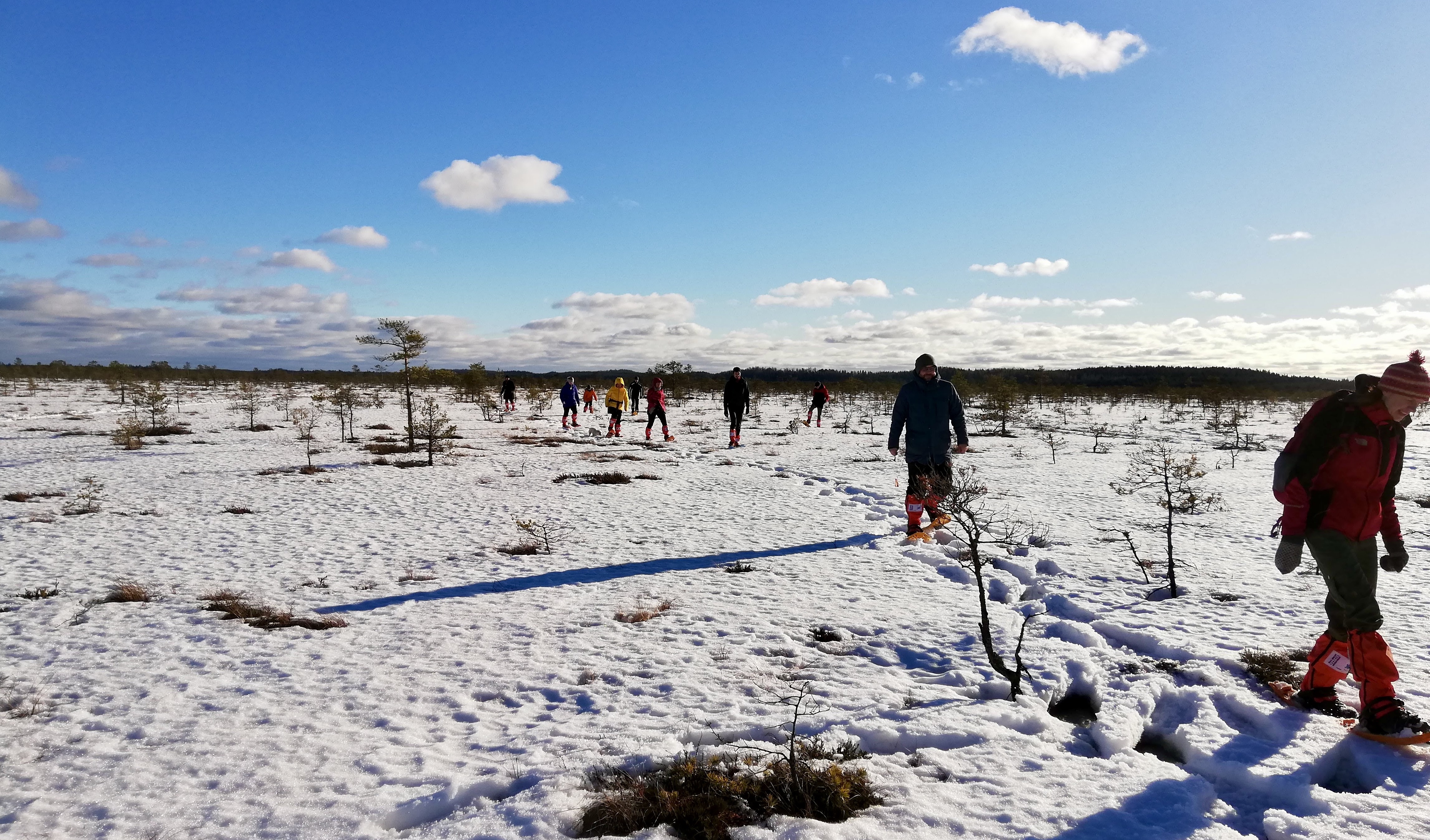 Snowshoe Hike in Kakerdaja Bog